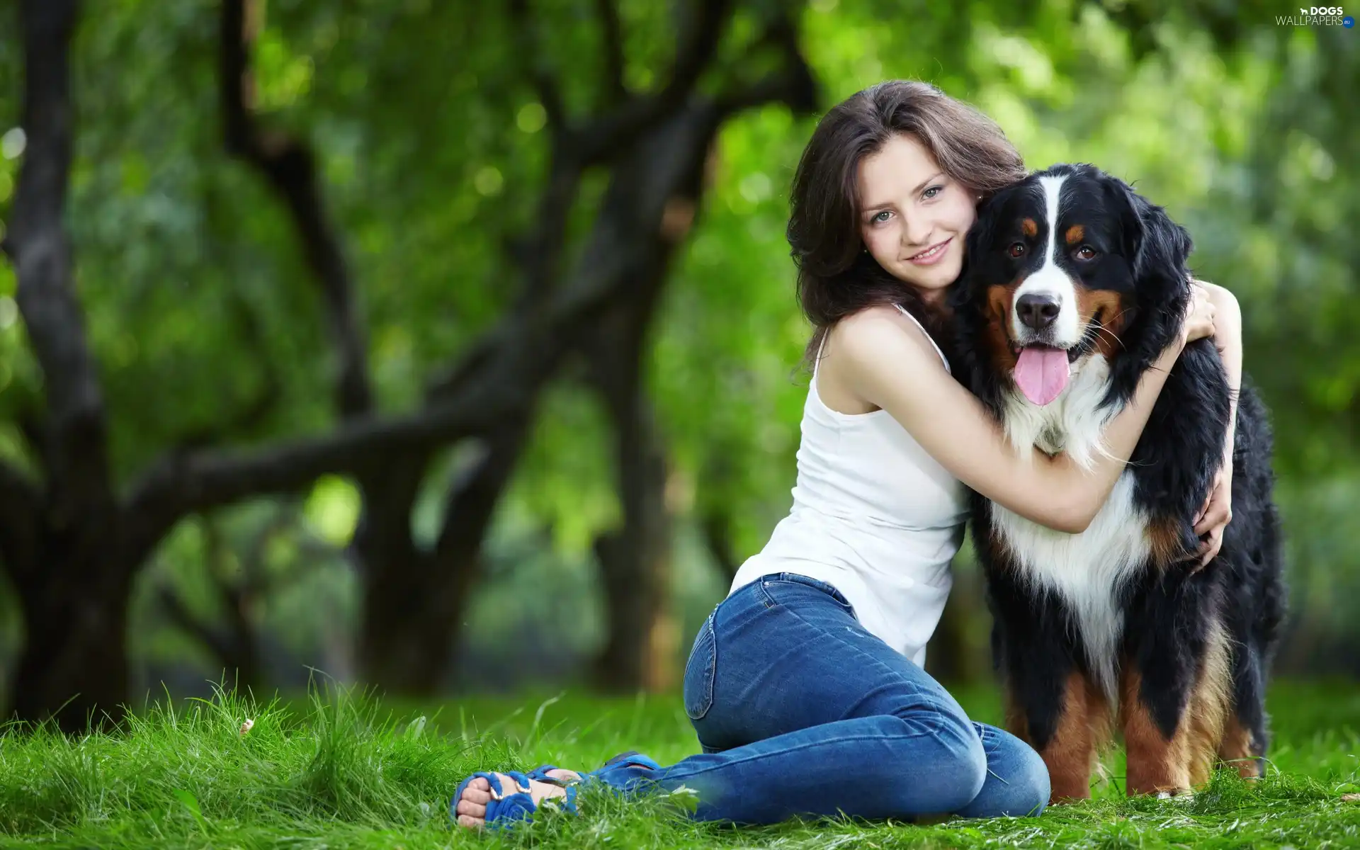 girl, pastoral, Bernese, dog