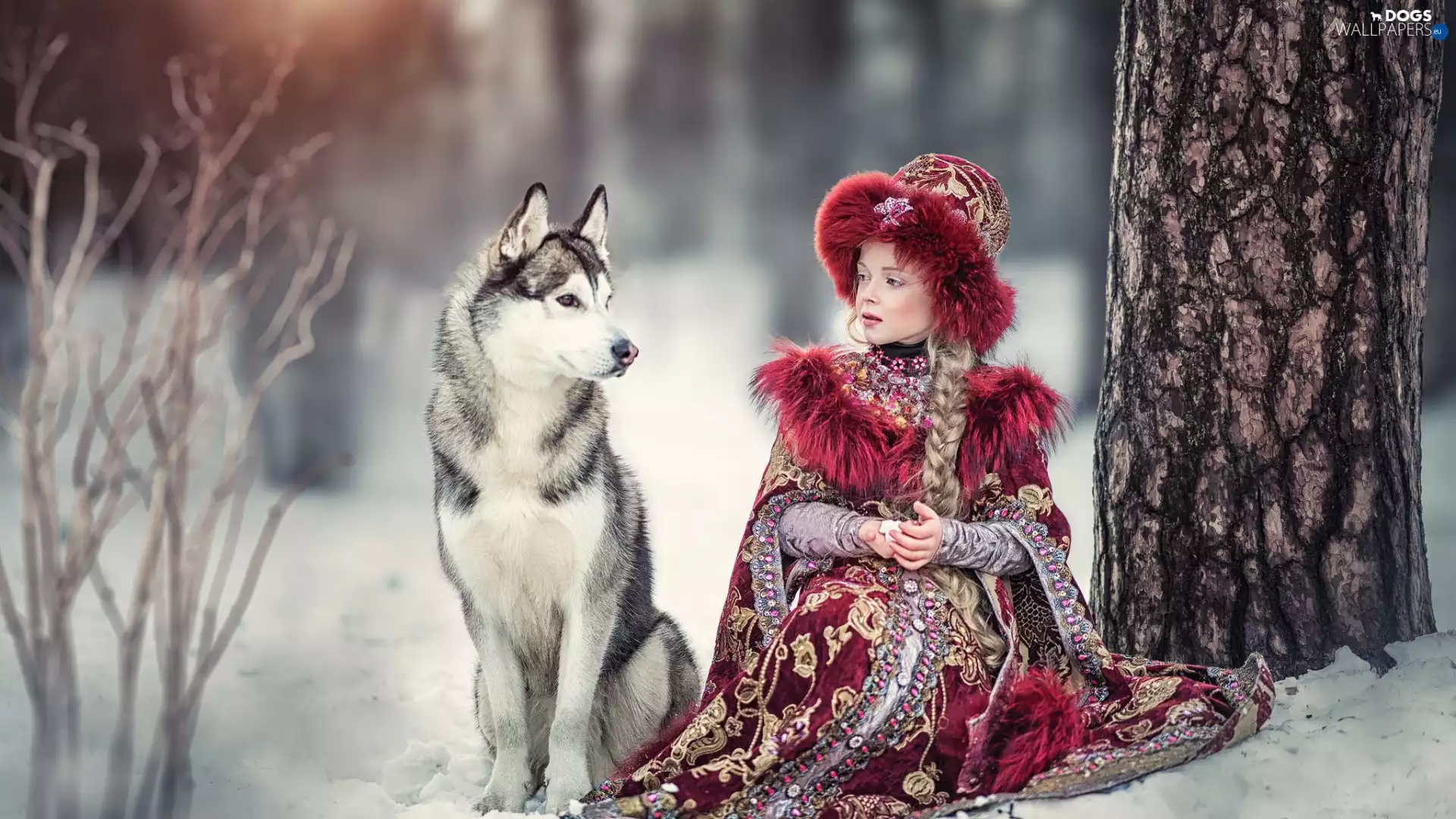 trees, Siberian Husky, girl, winter, dog