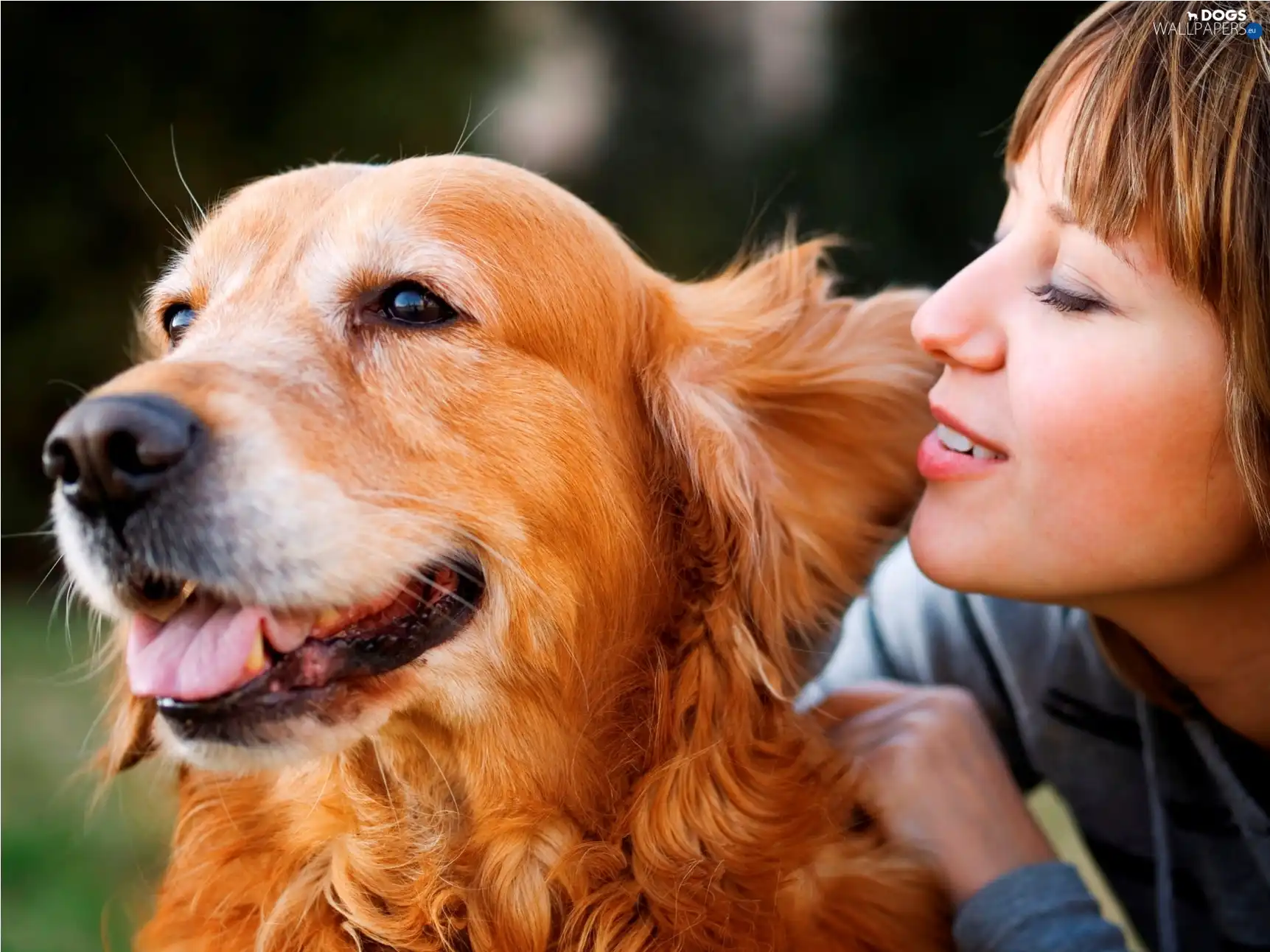 girl, retriever, dog, golden