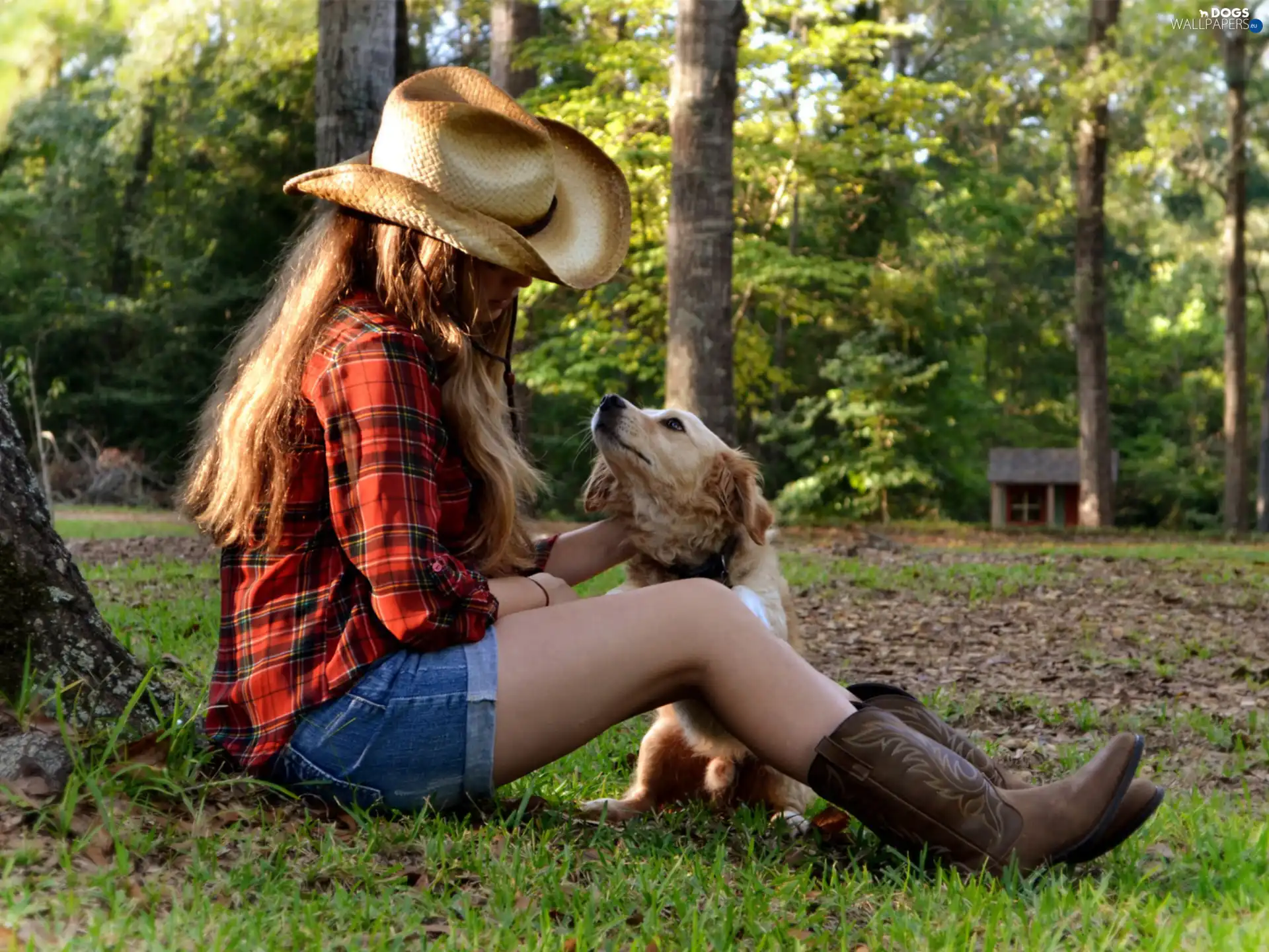 girl, Hat, Golden Retriever
