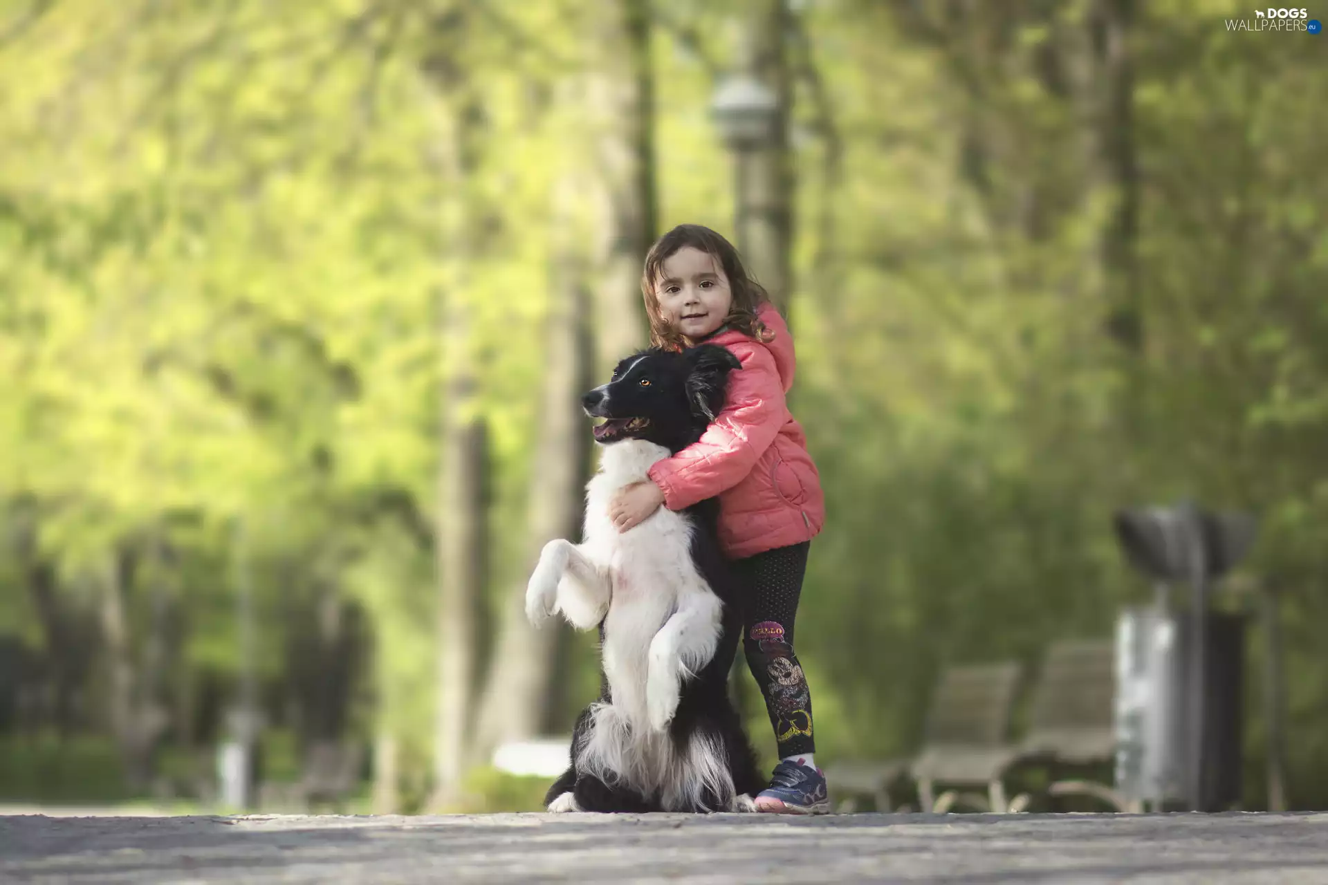 dog, girl, hugging, Border Collie