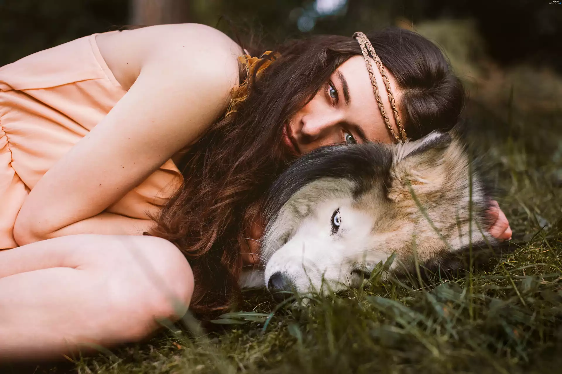 girl, Siberian Husky