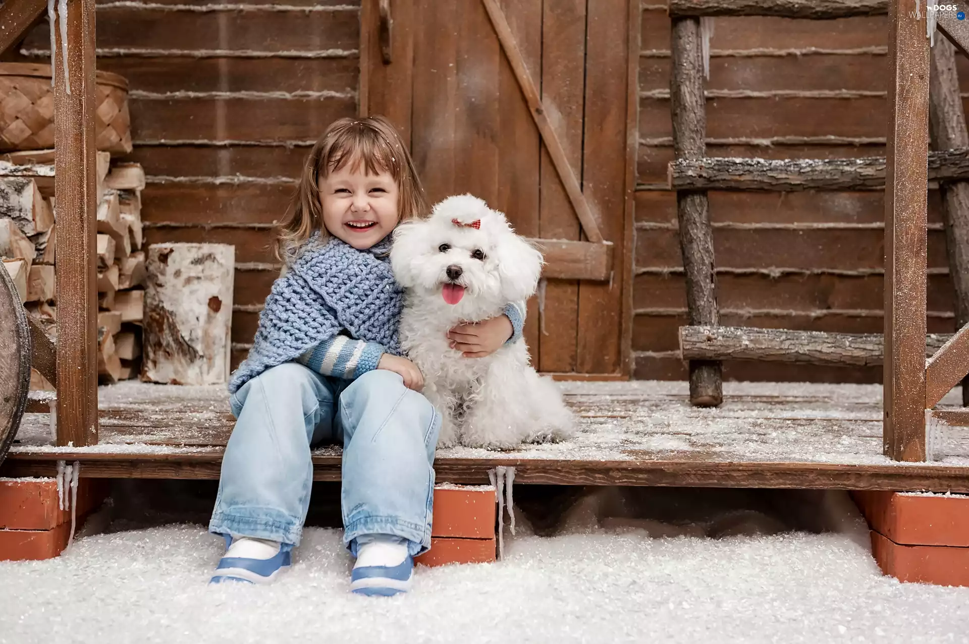 smiling, girl, Miniature Poodle, happy