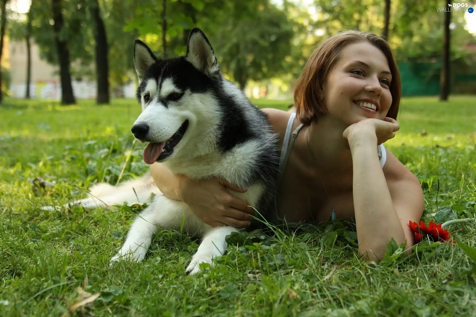 girl, Park, Siberian Husky