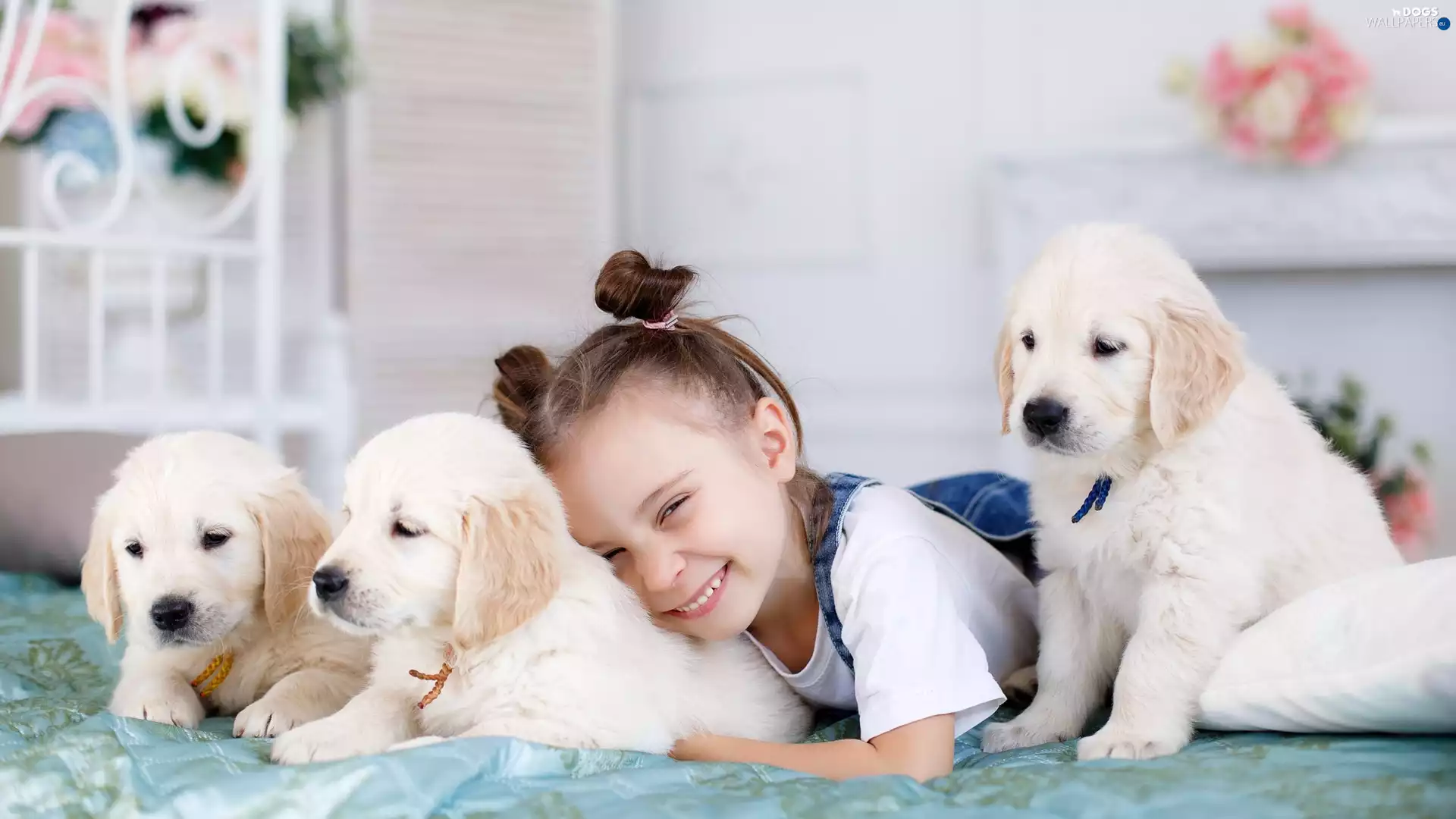 puppies, Golden Retrievery, girl, Three, smiling