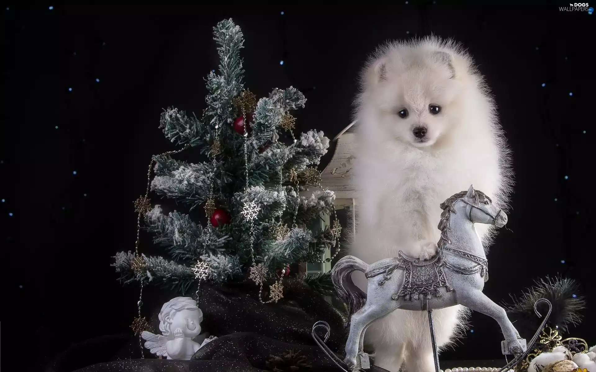 God, point, christmas tree, decor, dog, birth, sea-horse