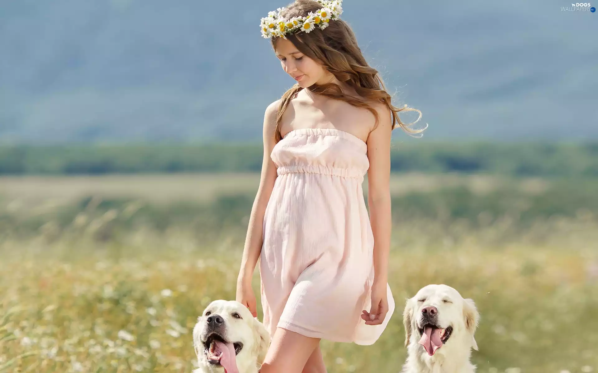 Meadow, girl, Dogs, Golden Retriever, summer, wreath