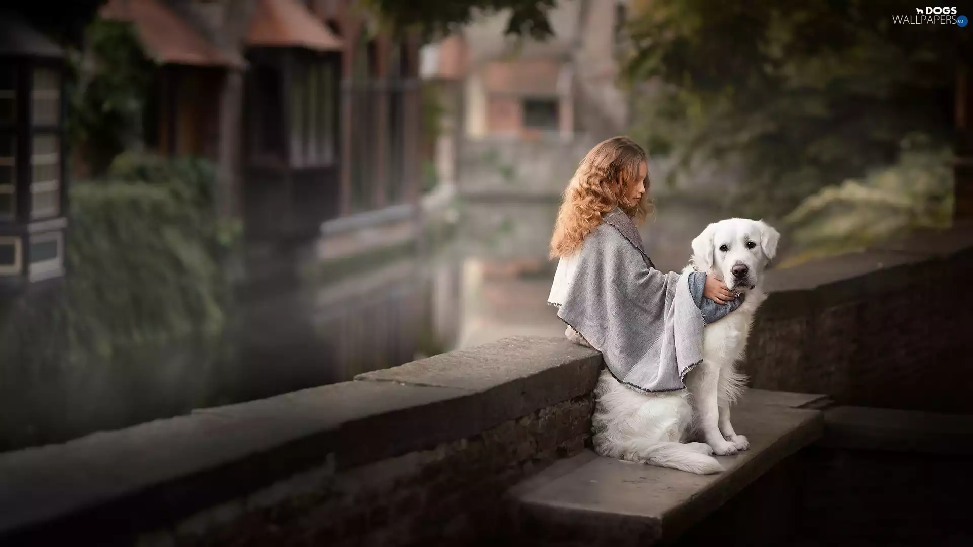 girl, Golden Retriever, ledge, dog