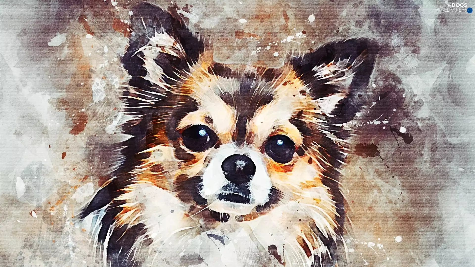 graphics, dog, Chihuahua