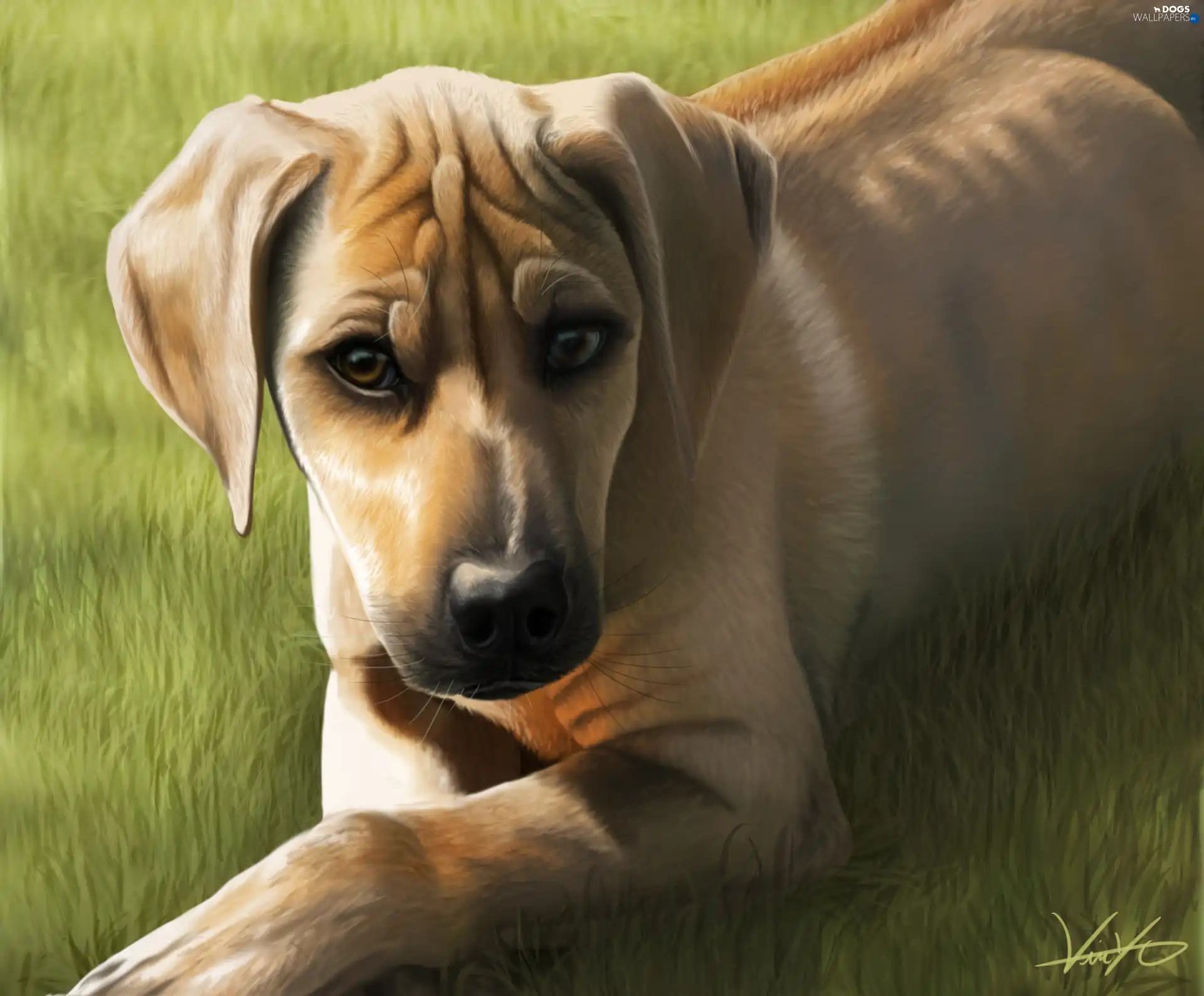 grass, doggy
