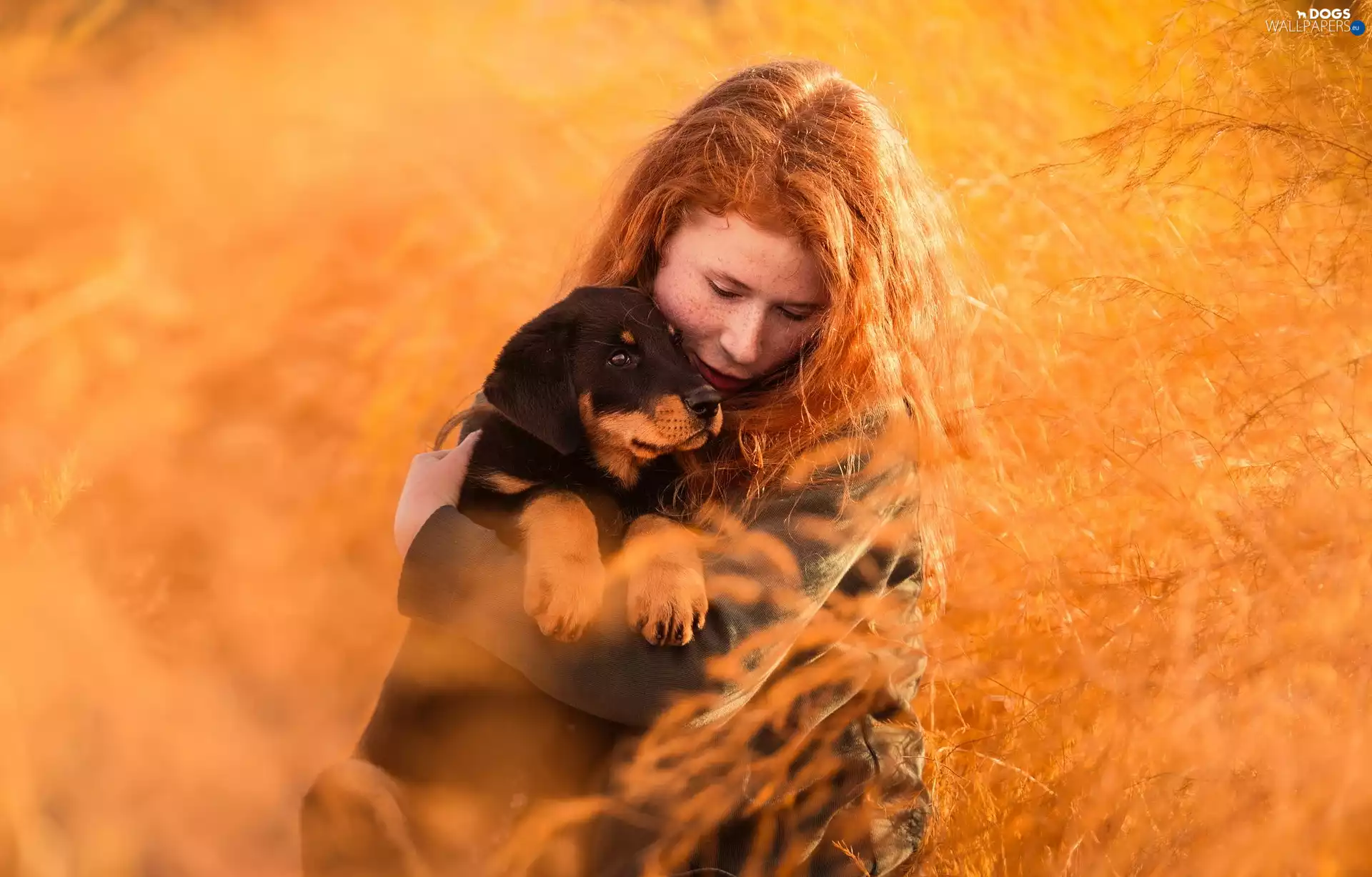Rottweiler, grass, redhead, Puppy, Women