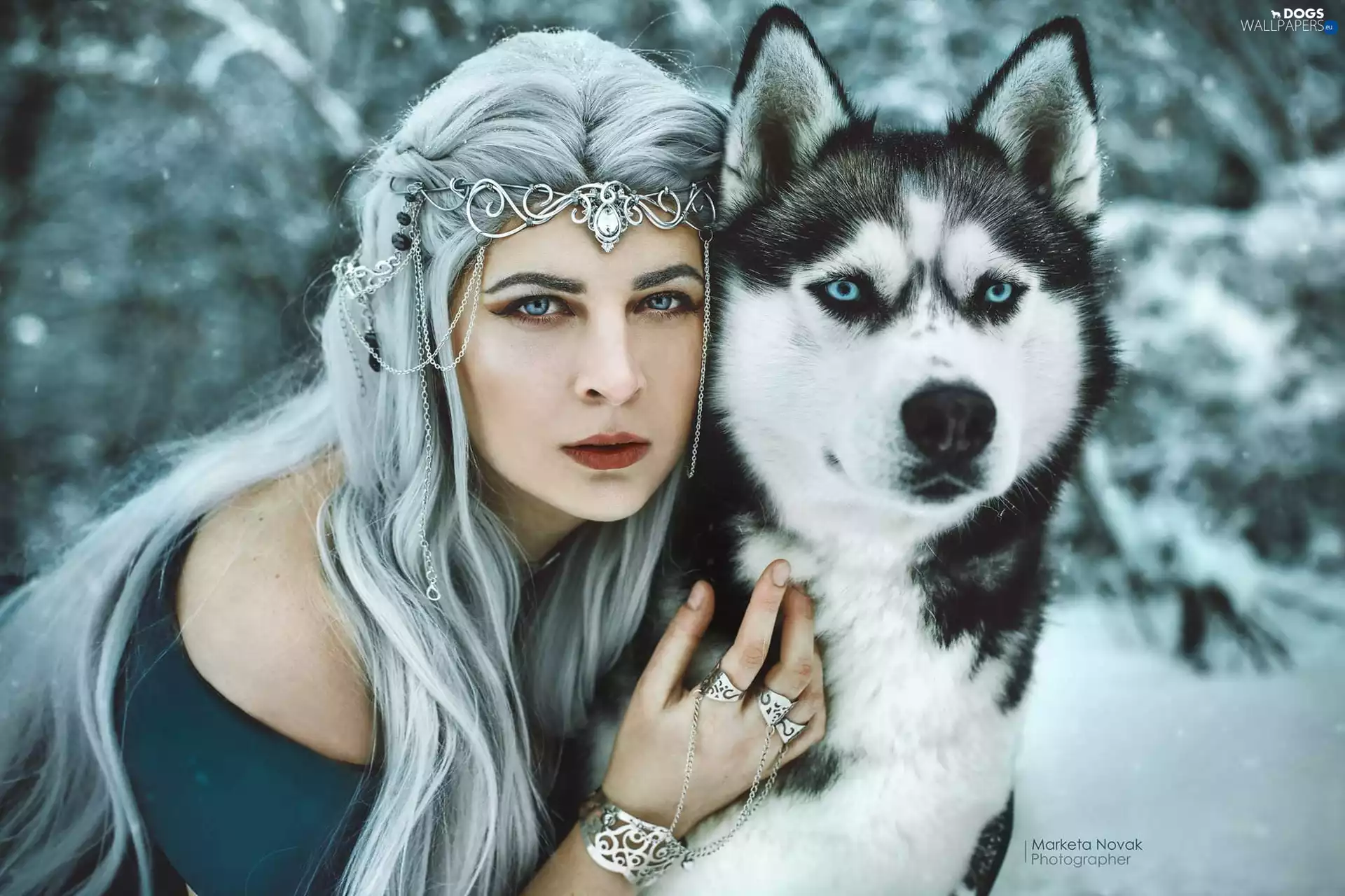 gray, Hair, snow, jewellery, Siberian Husky, Longs, Women, dog