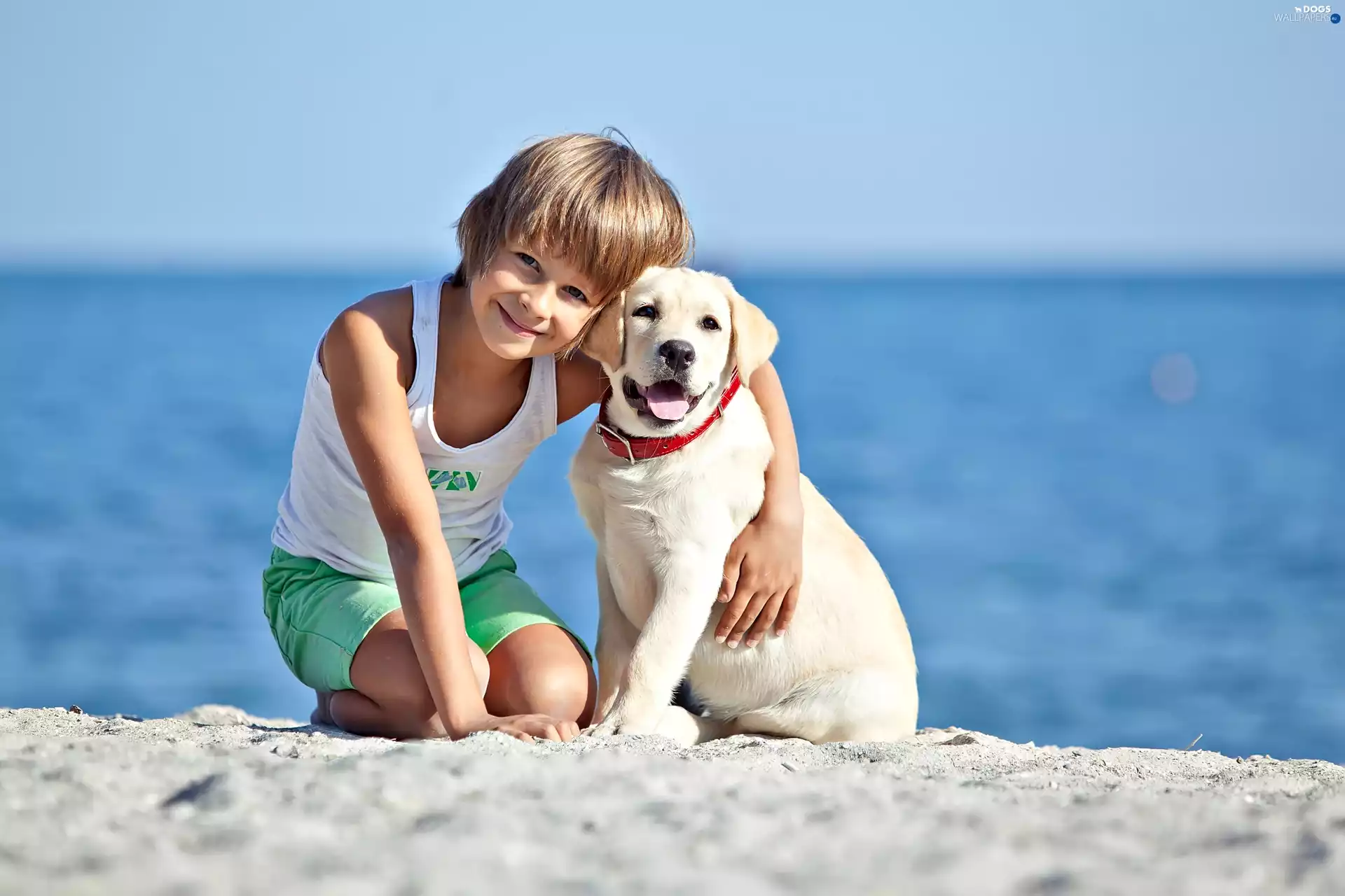 boy, doggy, Beaches, happy
