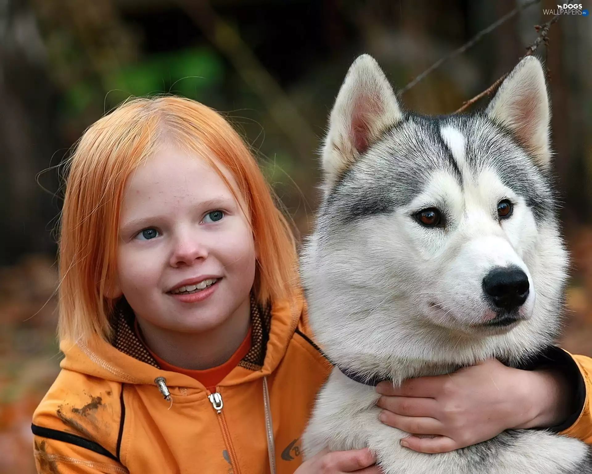 dog, Husky, red head, Hair, girl