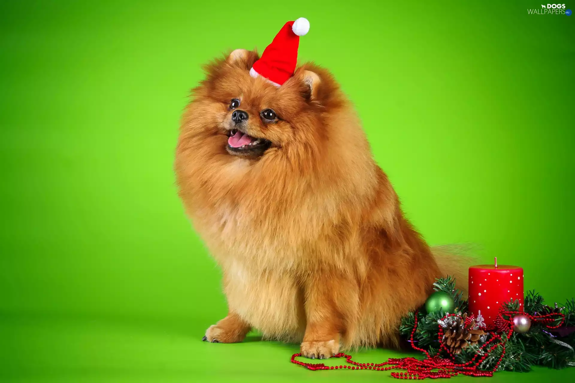 headdress, point, Bonnet