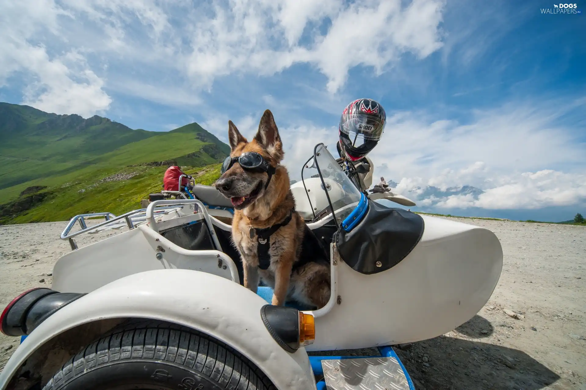 Glasses, helmet, German Shepherd, Funny, motor-bike