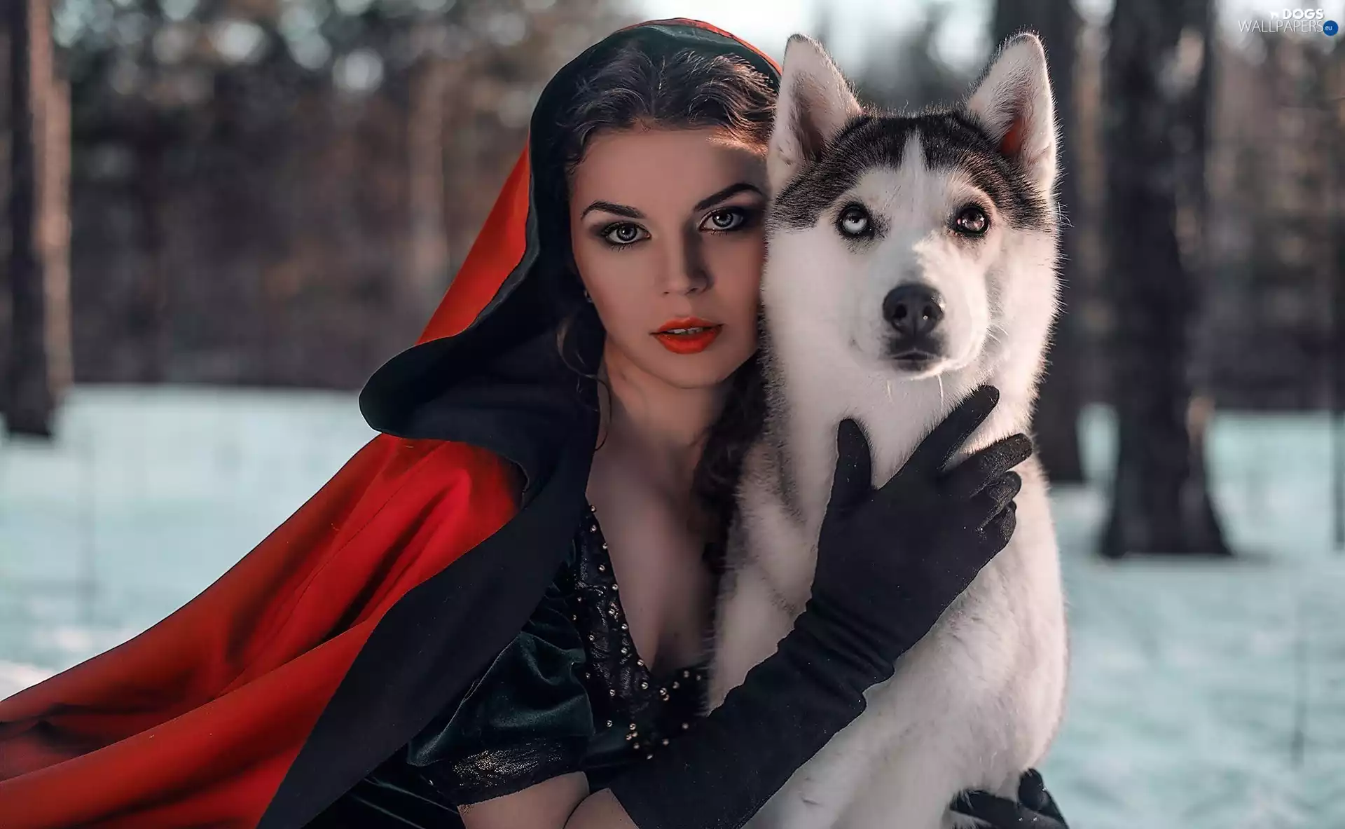 dog, Husky, red hot, cape, Women