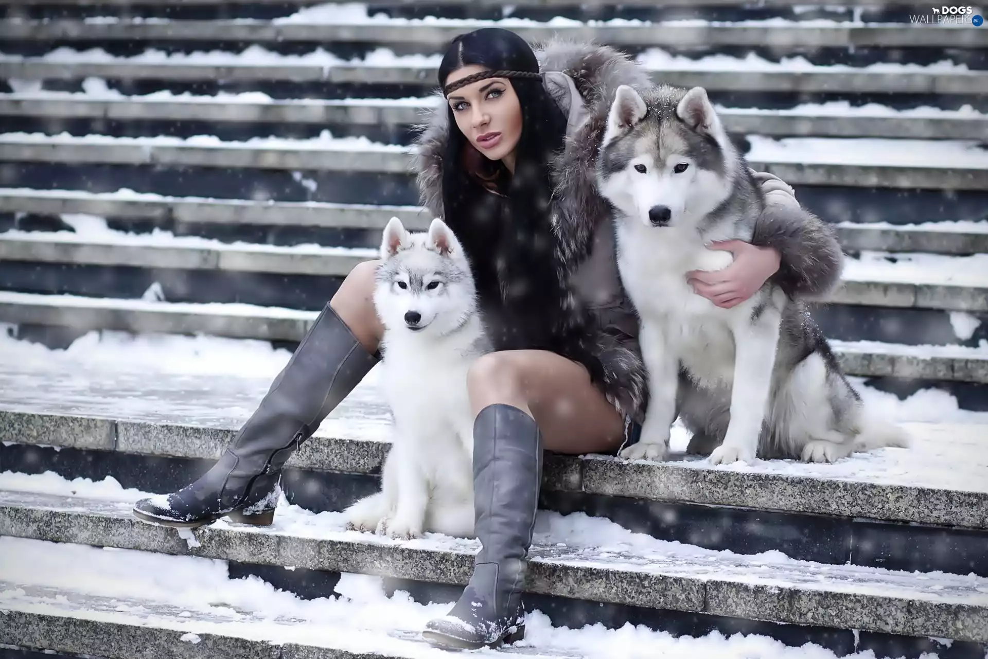 Women, puppies, Siberian Husky, Two cars