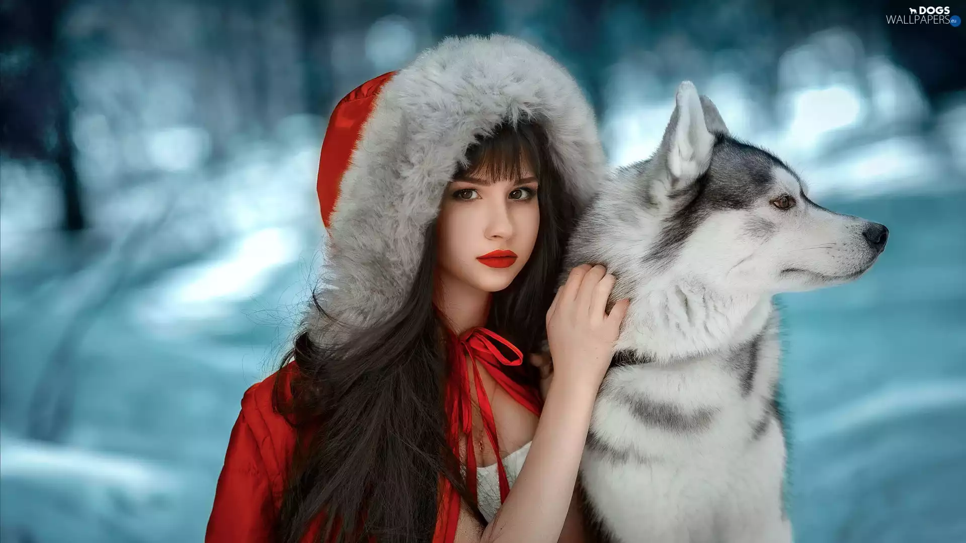 hood, Red, dog, Cloak, girl, snow, Siberian Husky
