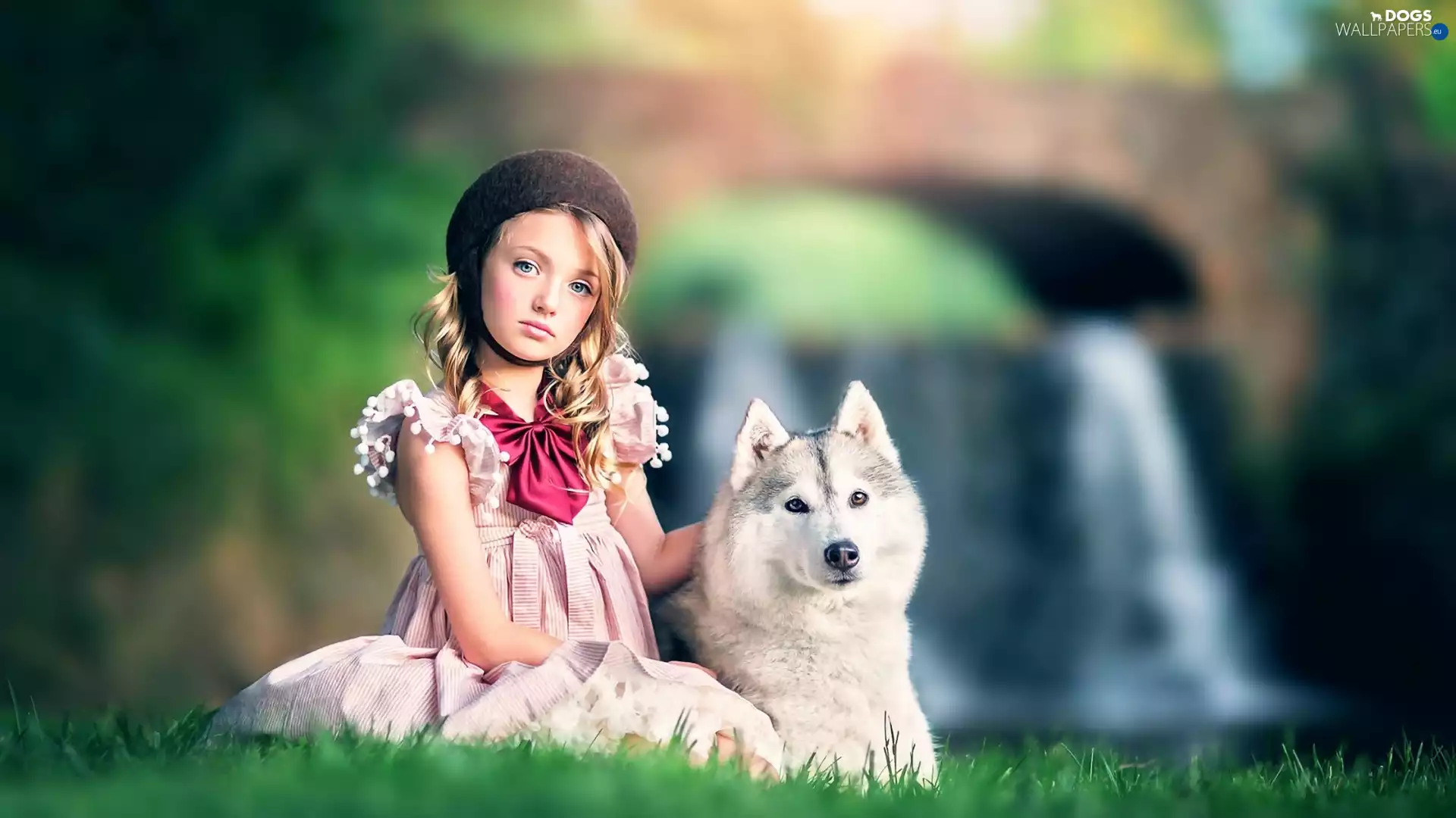 Siberian, Husky, girl, dog, Kid
