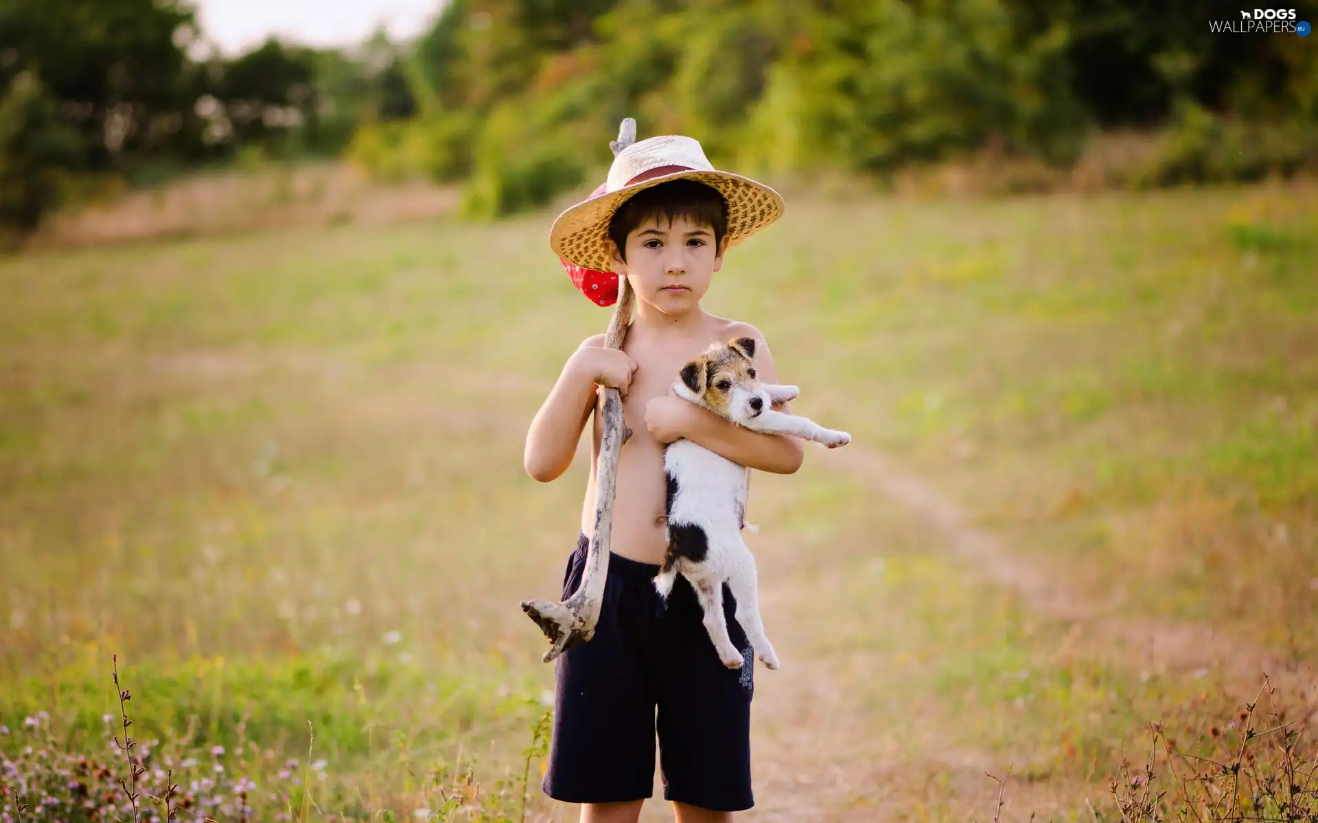 car in the meadow, puppie, small, forest, boy