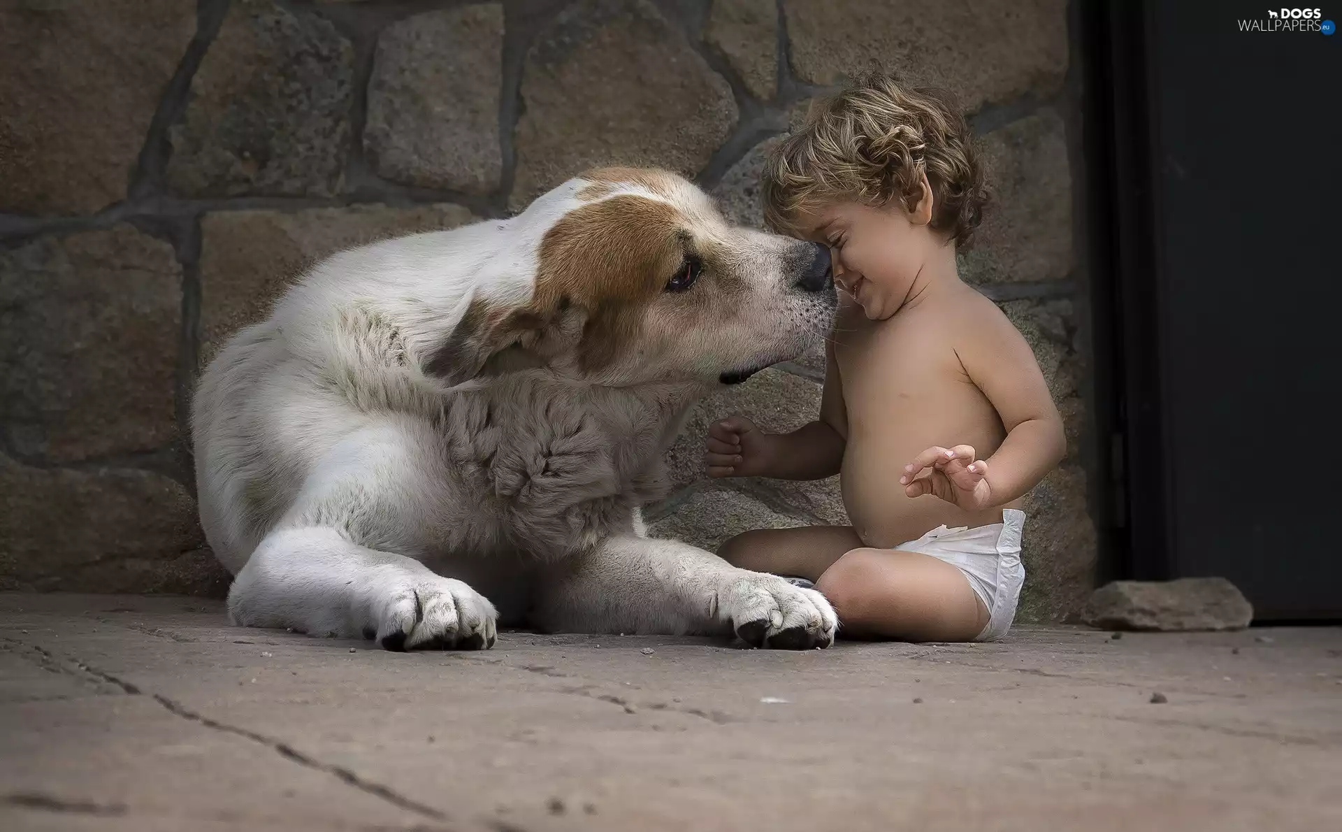 play, Kid, Central Asian Shepherd