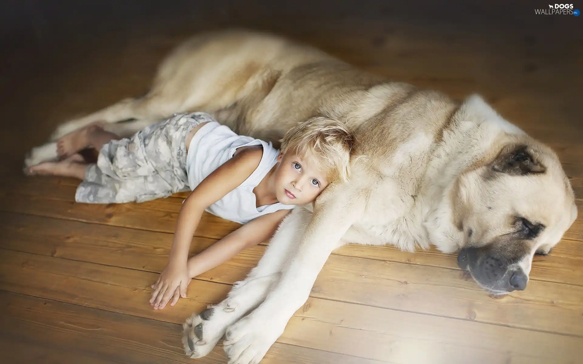 Kid, dog