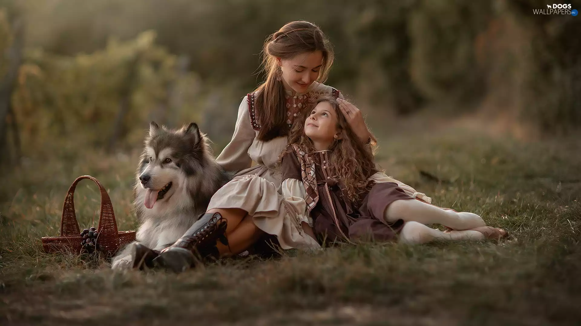 dog, Alaskan Malamute, Kid, girl, Women