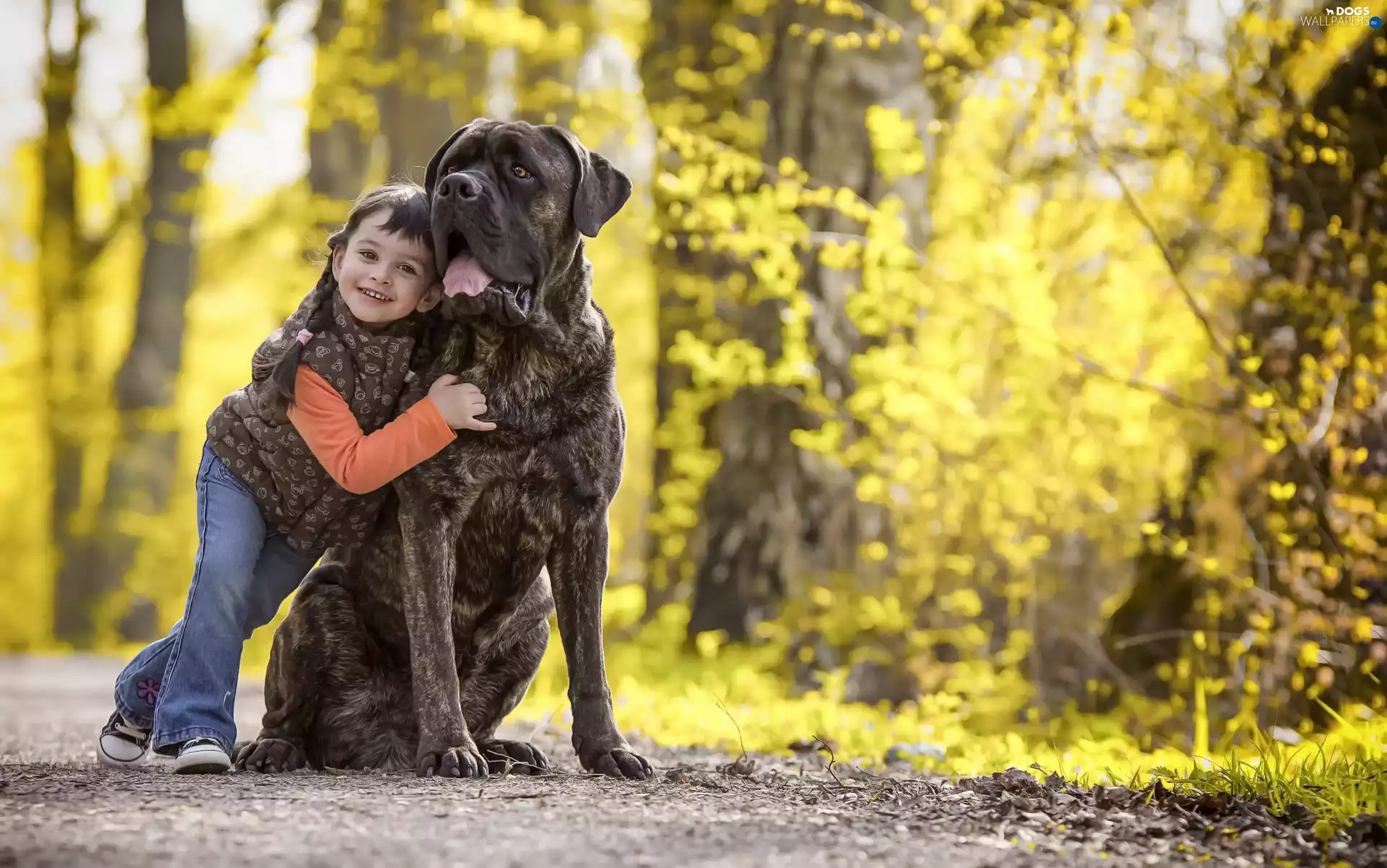 dog, Kid, Bullmastiff, lane, striped, girl