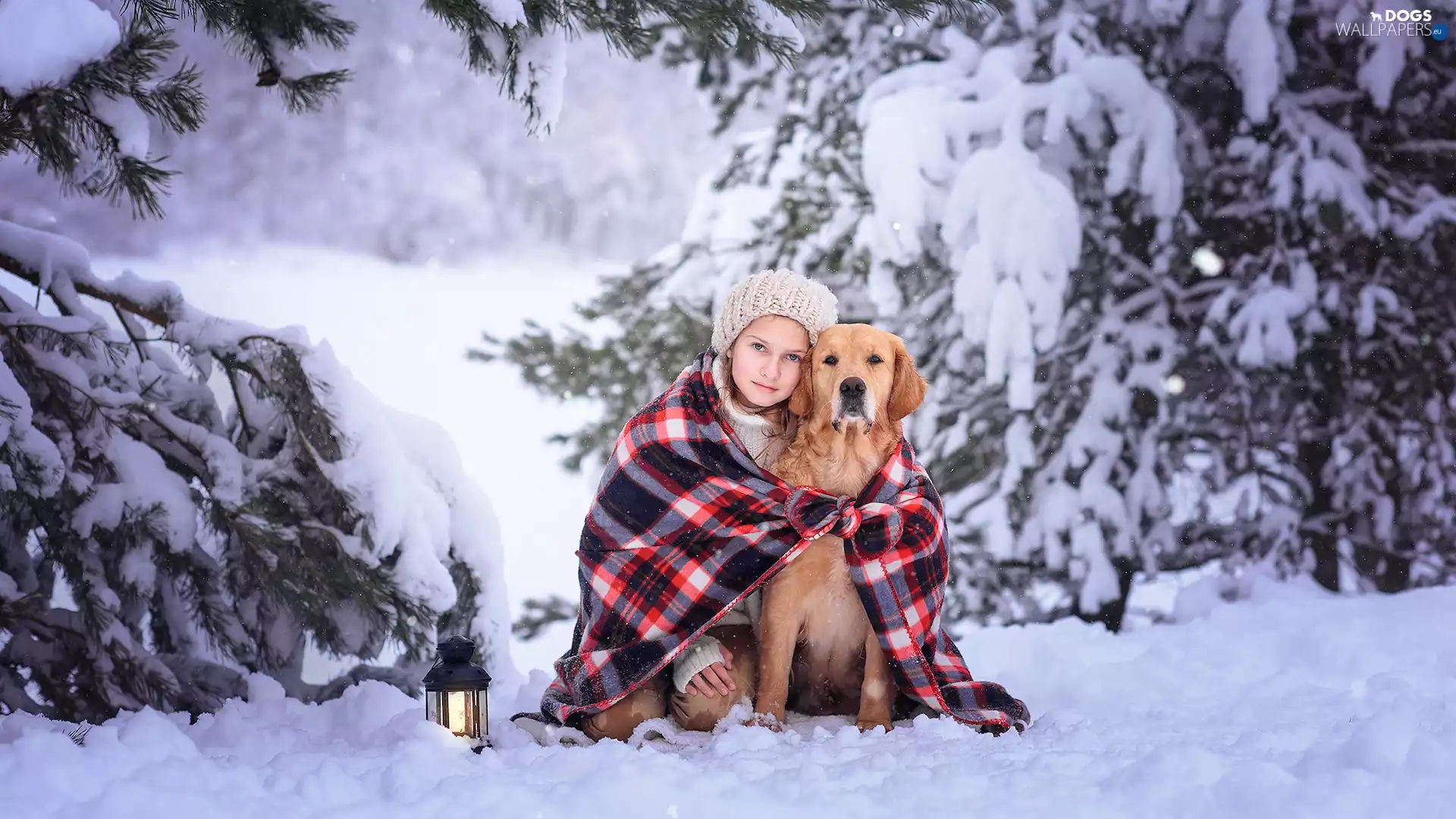 winter, dog, coverlet, Golden Retriever, girl, snow, lantern
