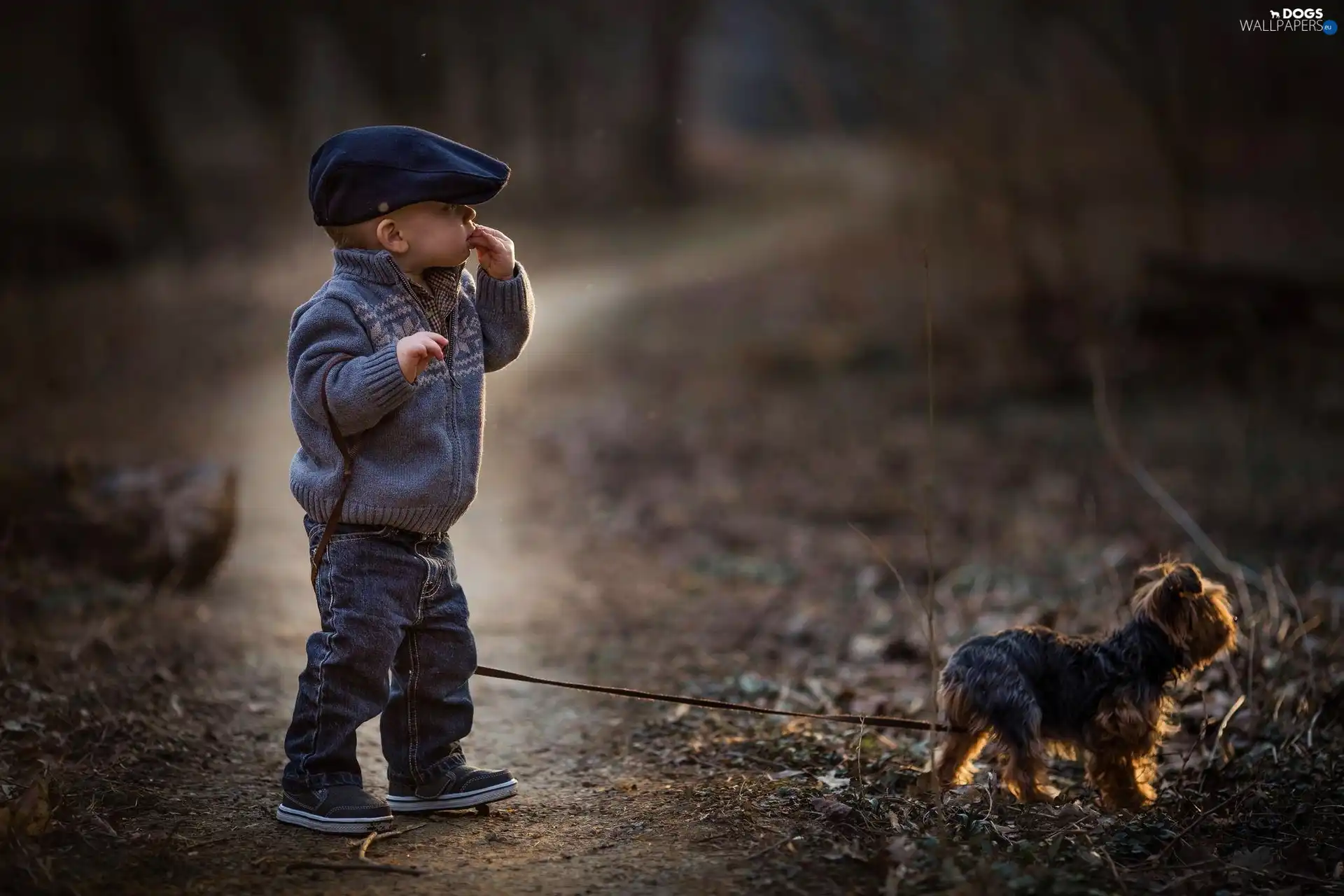 doggy, Leash, boy