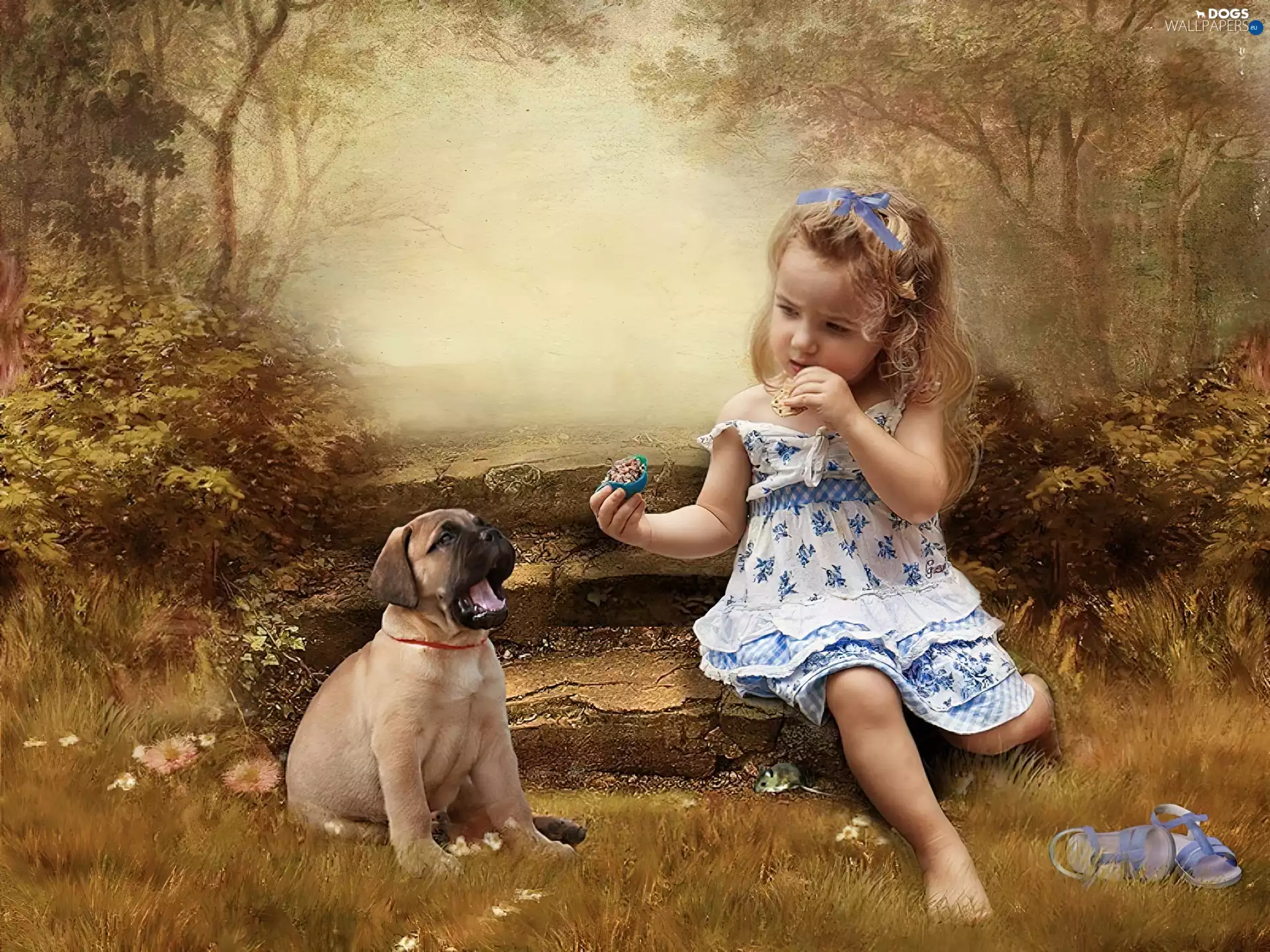 Leonberger, girl, puppie