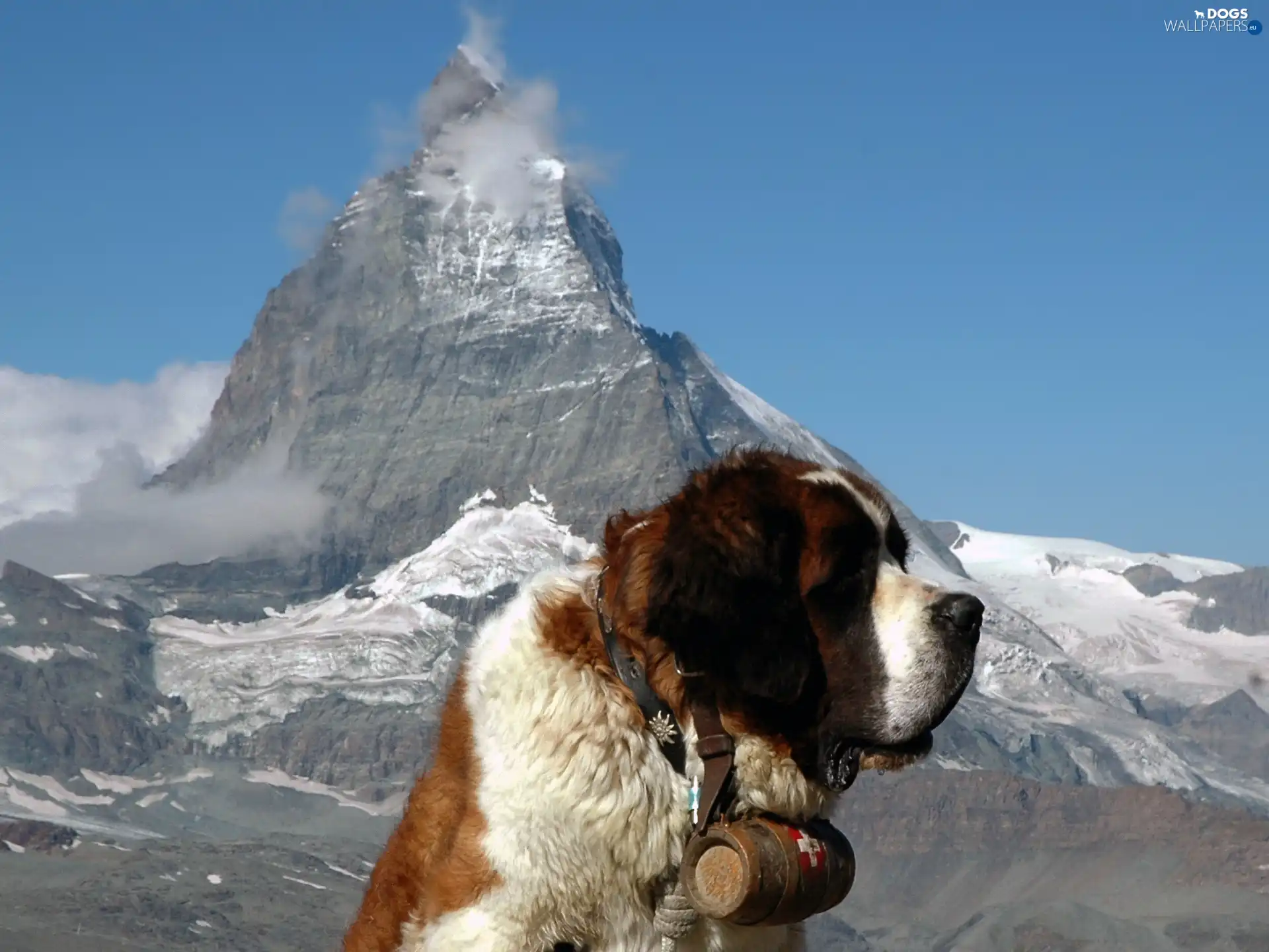 barrel, Mountains, Bernard