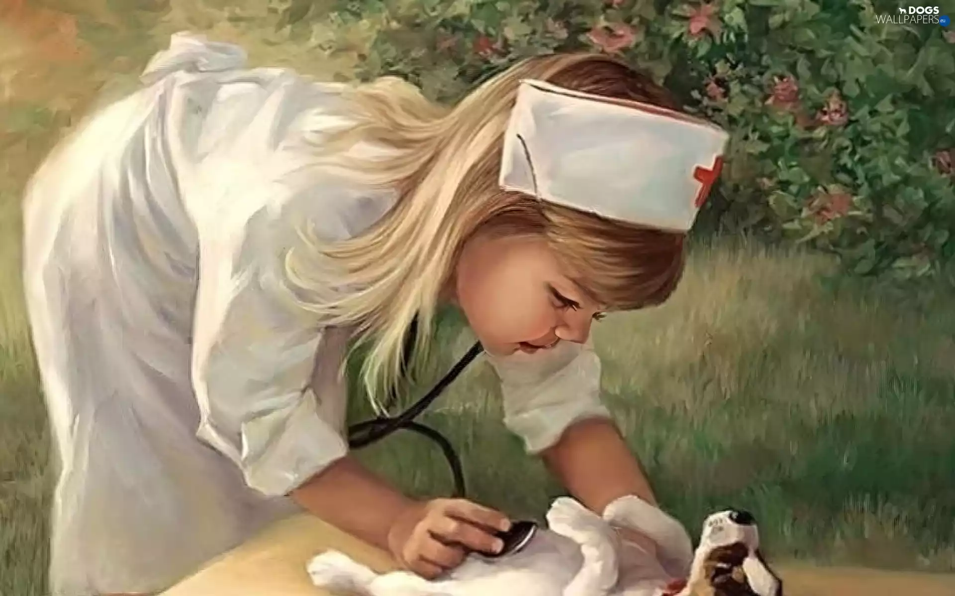 stethoscope, nurse, dog, Puppy, girl
