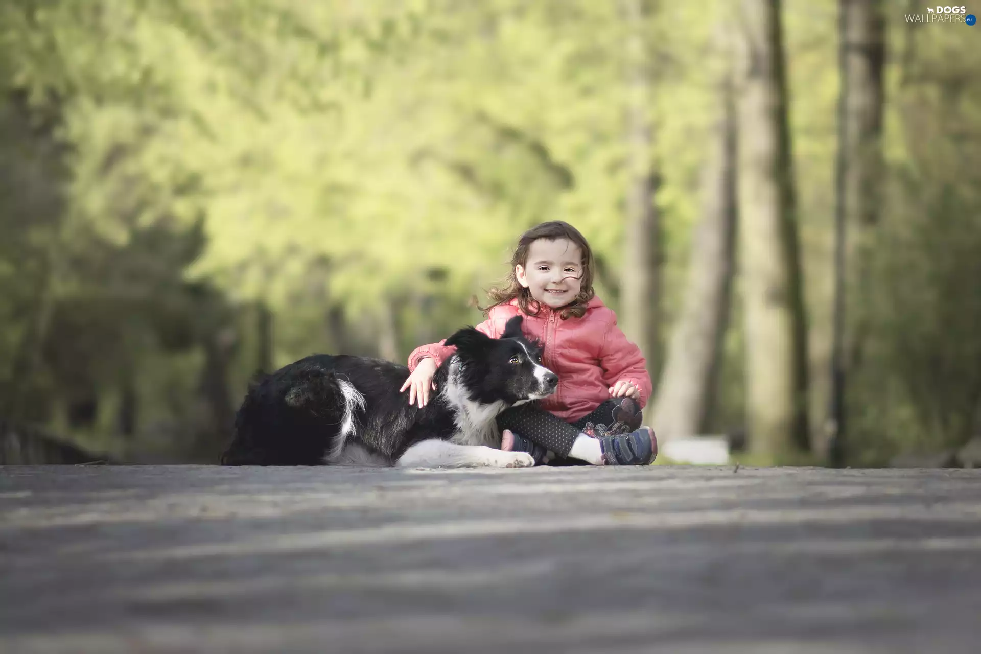 Border Collie, girl, Park, lane, friends, dog