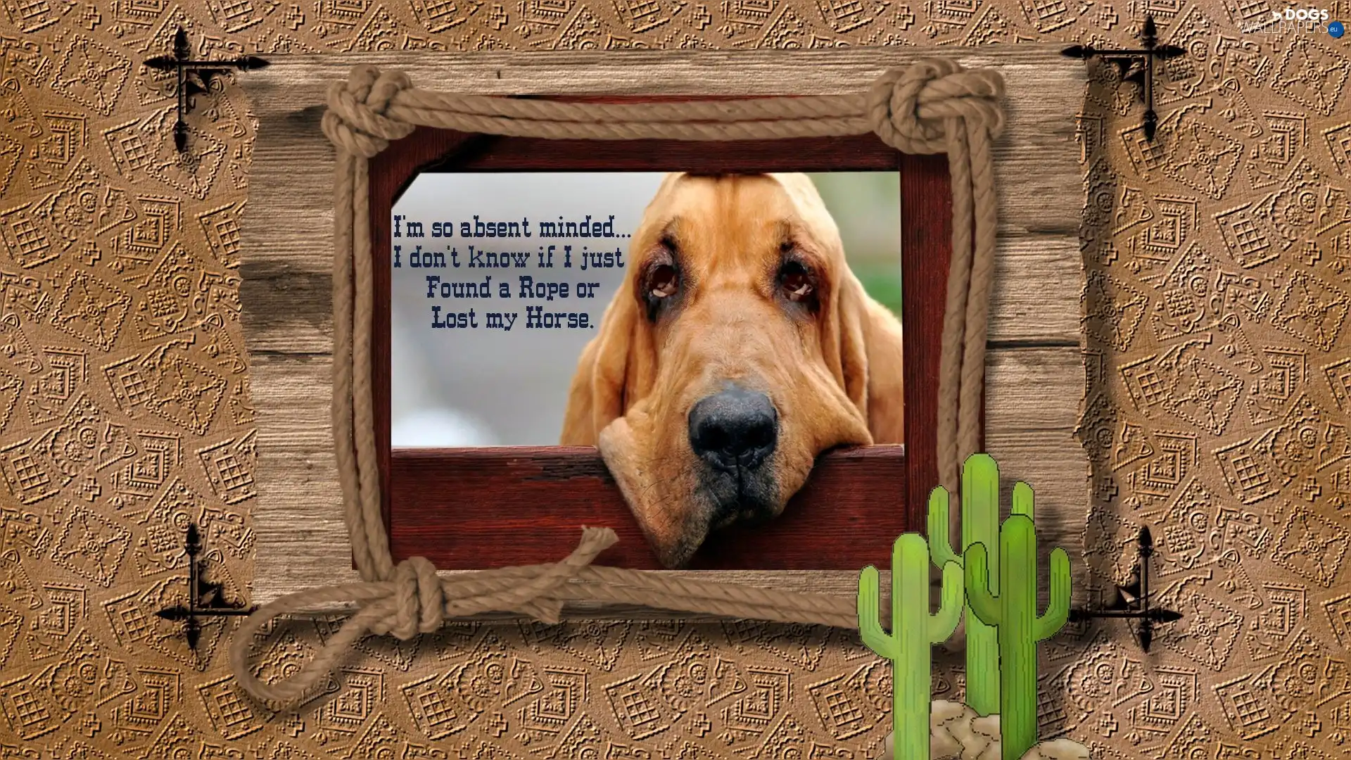 dog, picture, bored