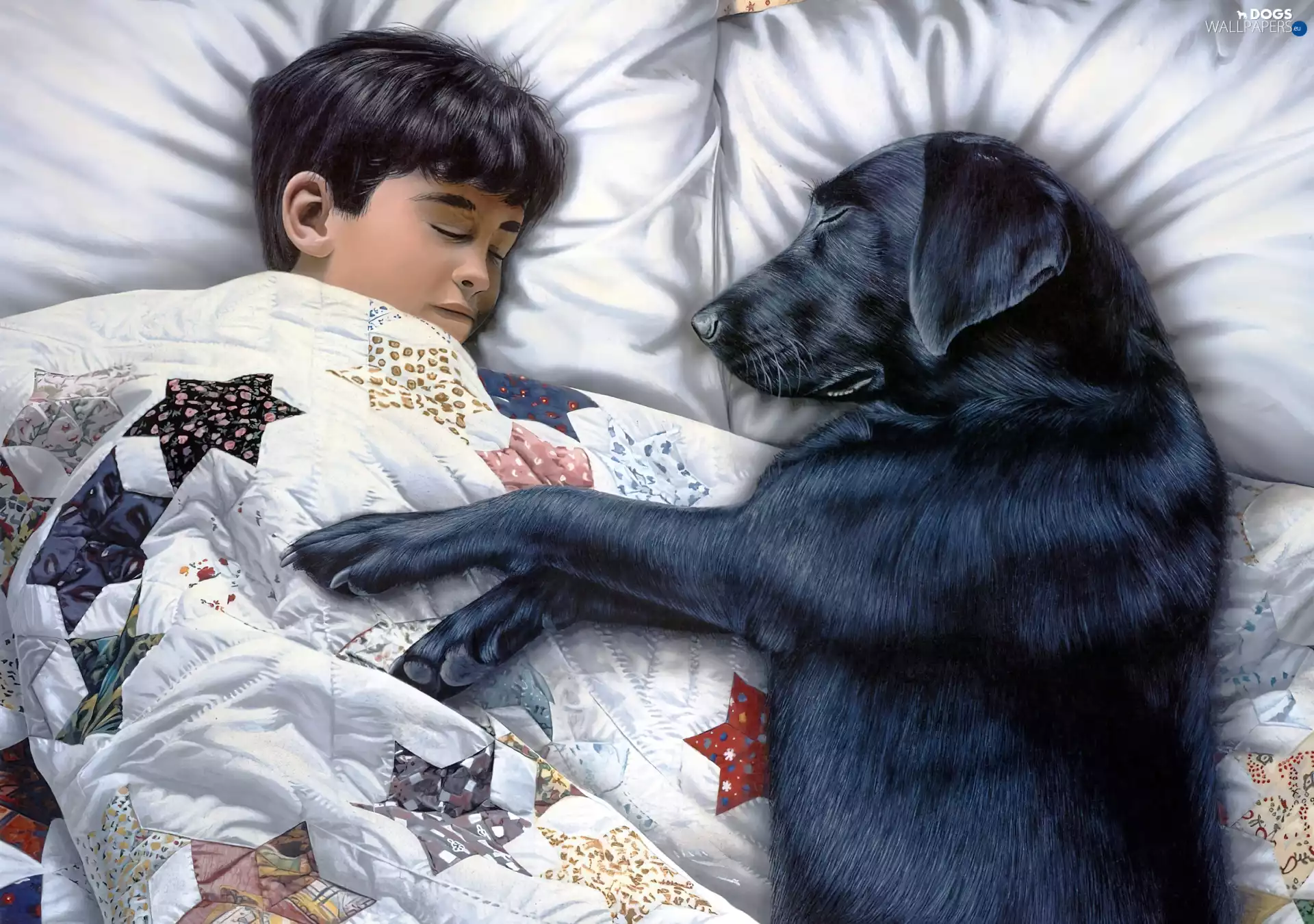 quilt, pillows, Kid, dog, Sleeping