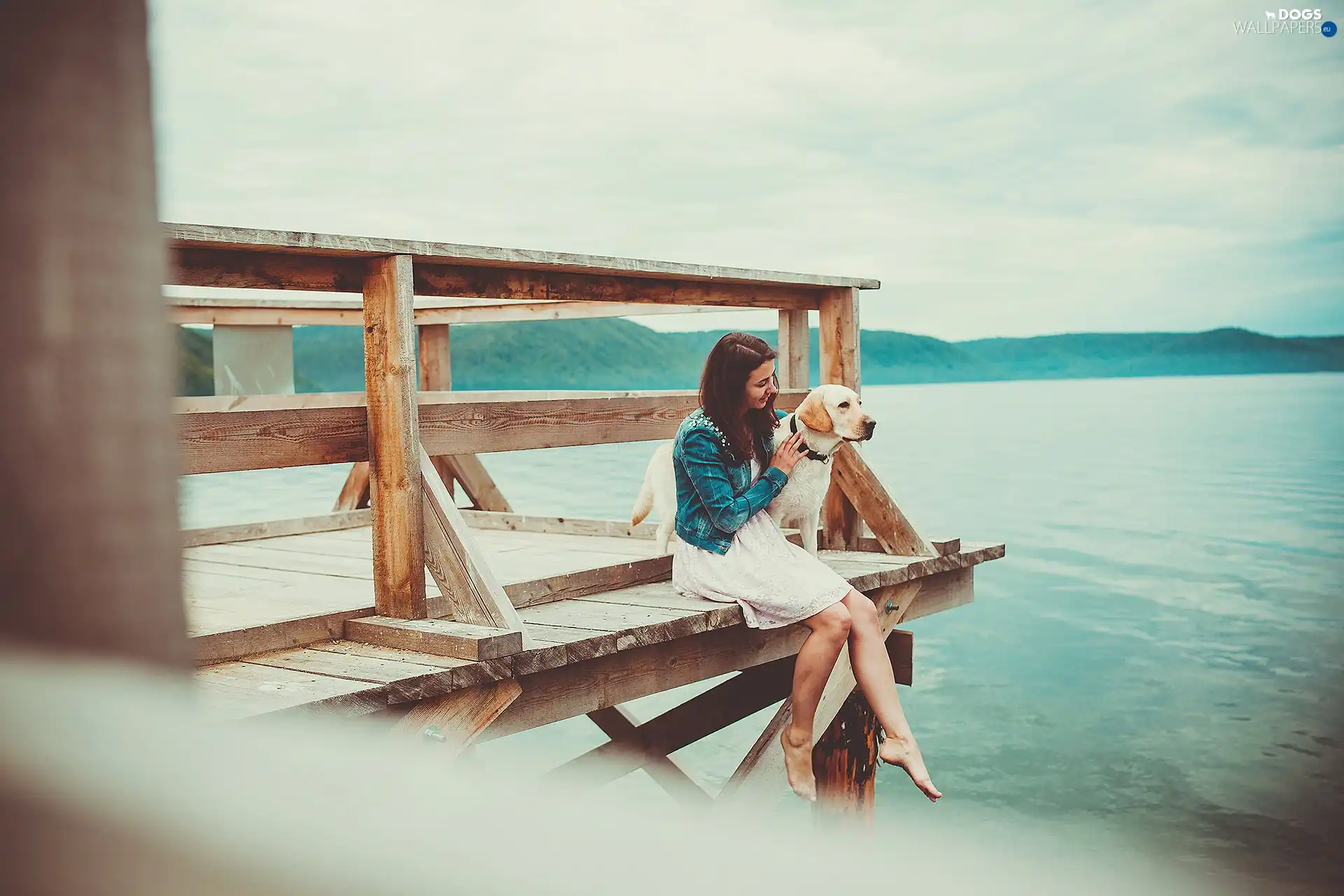 Platform, pier, Labrador Retriever, lake, girl