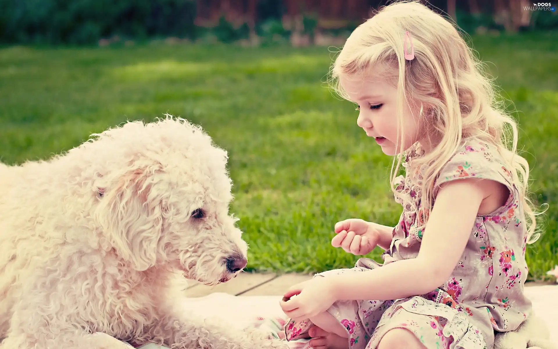 girl, play, dog