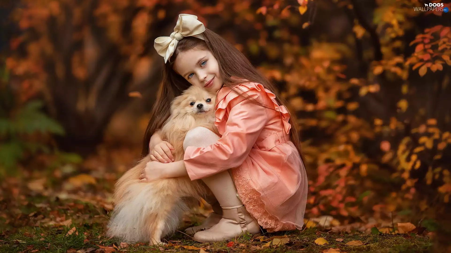 coat, girl, dog, point, bow, salmon