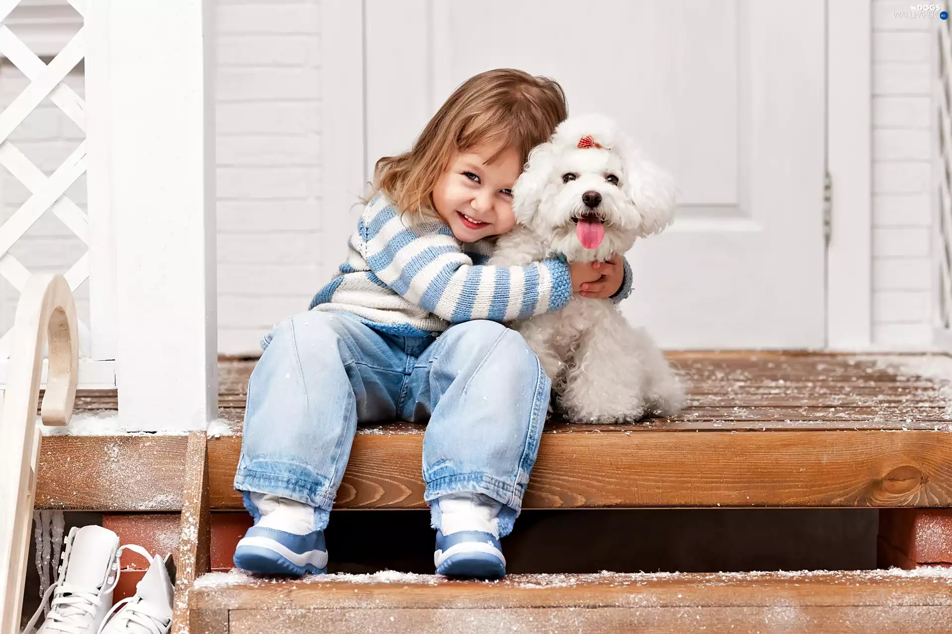 Stairs, girl, Miniature Poodle