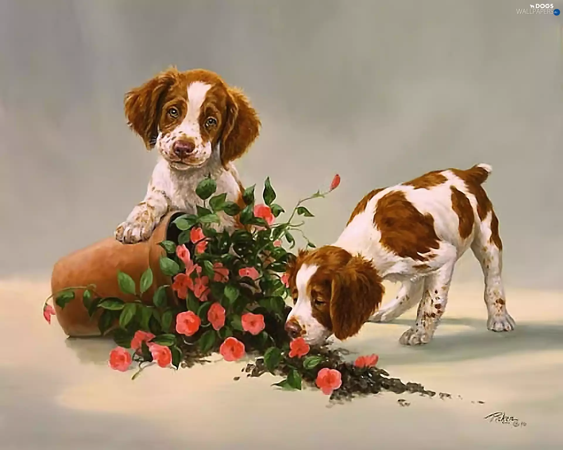 puppies, Two cars, pot, Flowers, overturned, Dogs