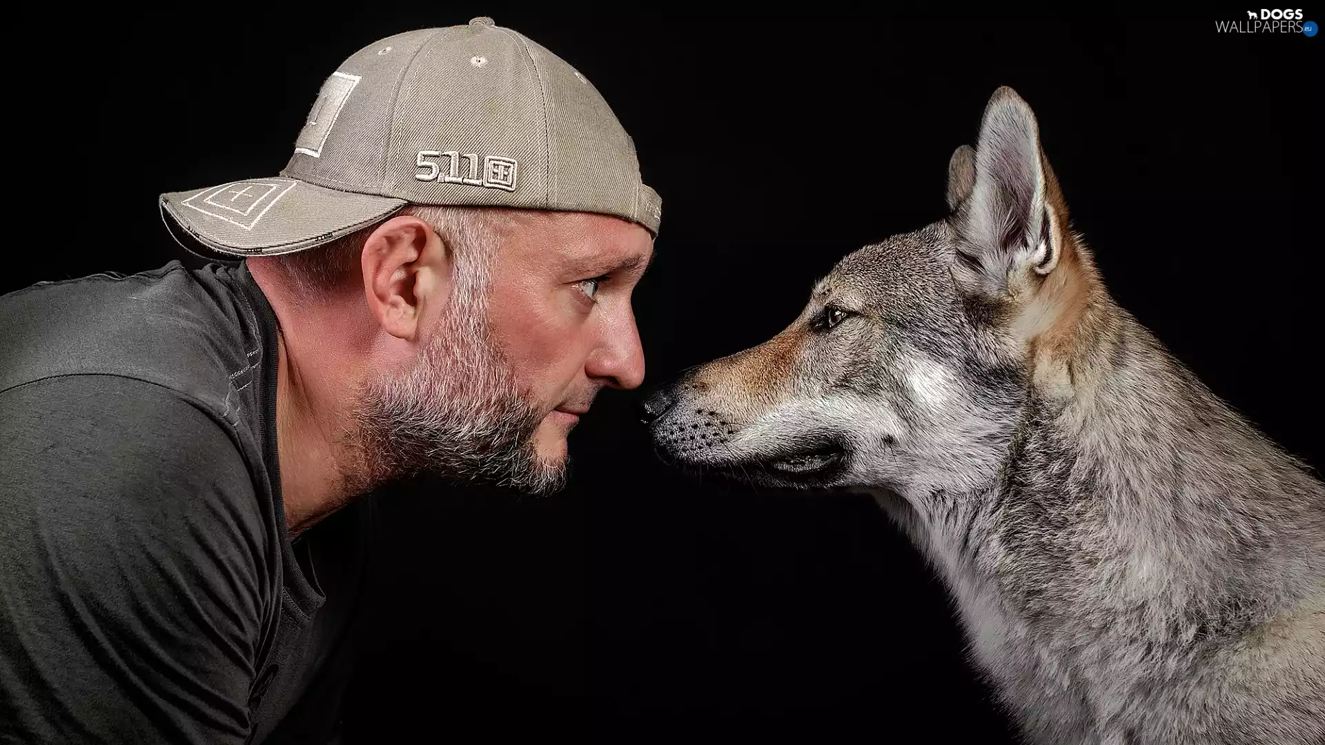 Hat, a man, beard, dog, Black, background, The look, profile, Czechoslovakian Wolfdog