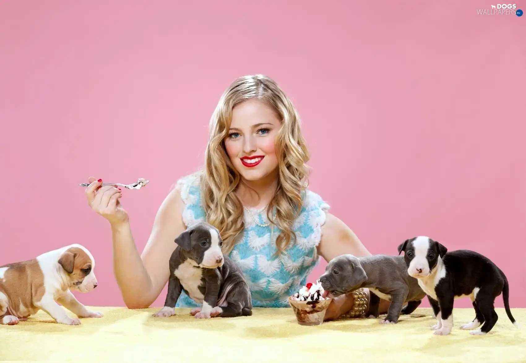 puppies, ice cream, girl