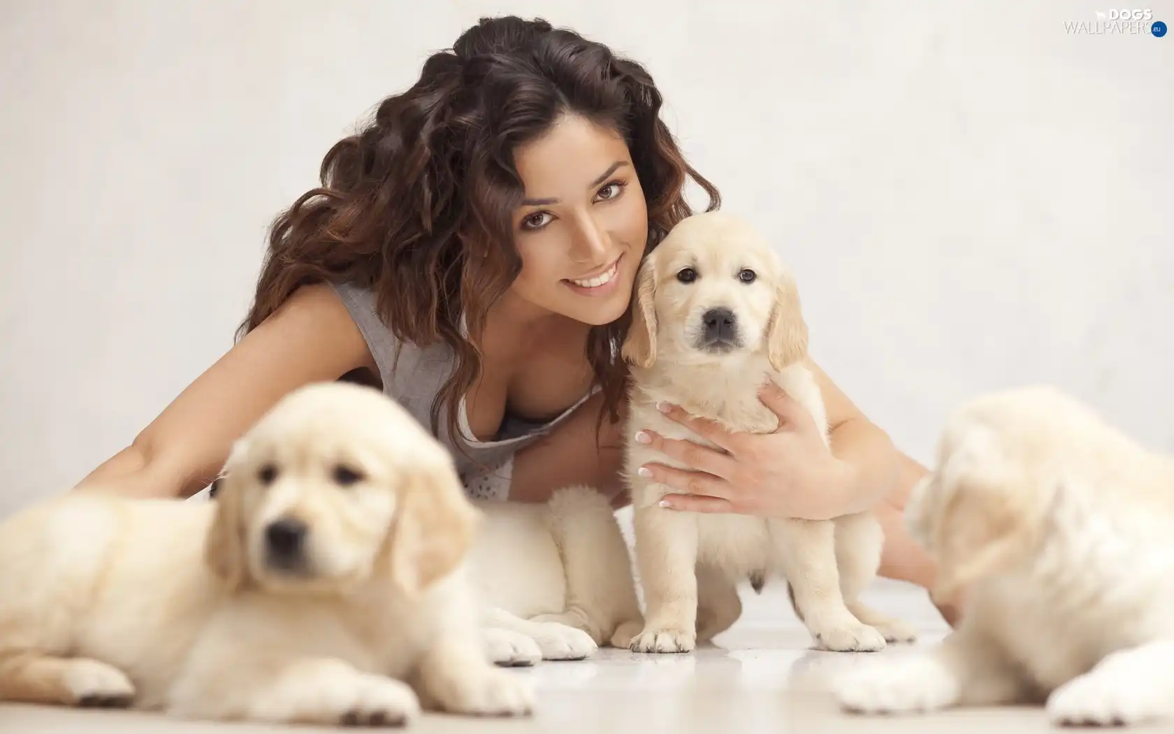 Puppies, Sponge, Women, Three