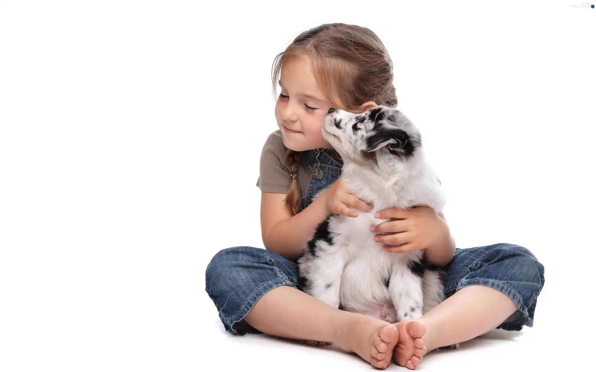 Puppy, Sympathy, girl, doggy