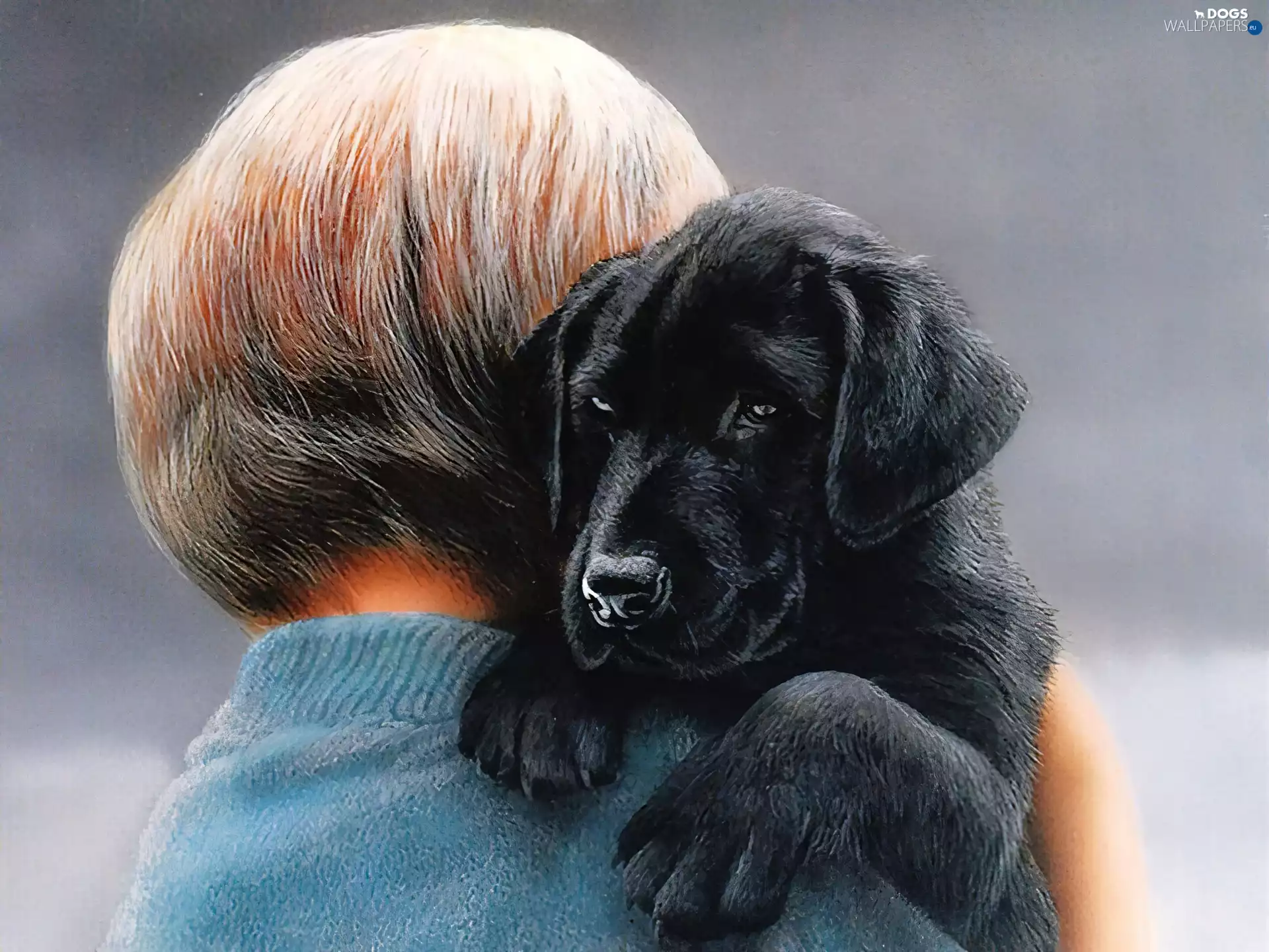 Labrador Retriever, Kid, Puppy