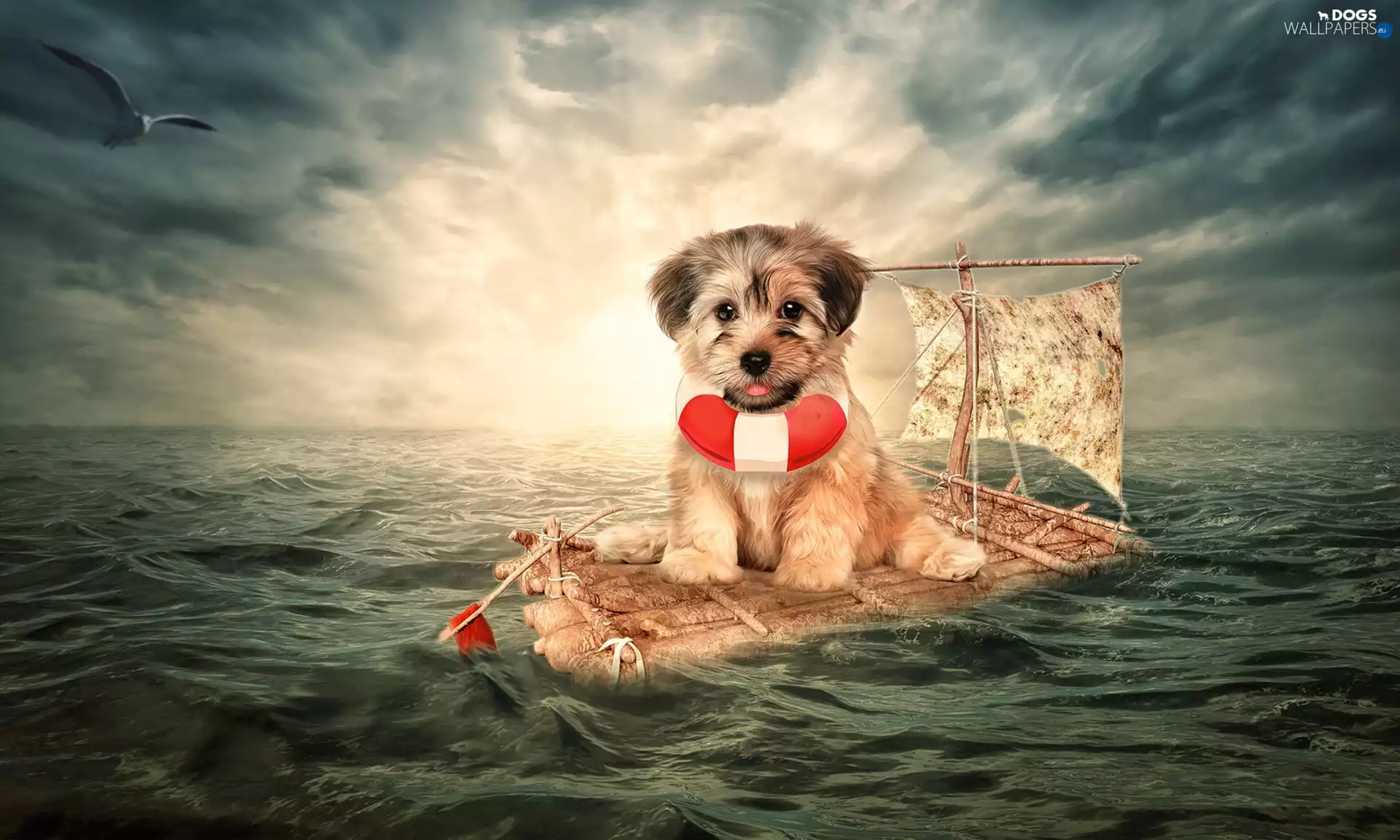 Puppy, dog, raft, flag, seagull, 2D, rescue, sea, circle