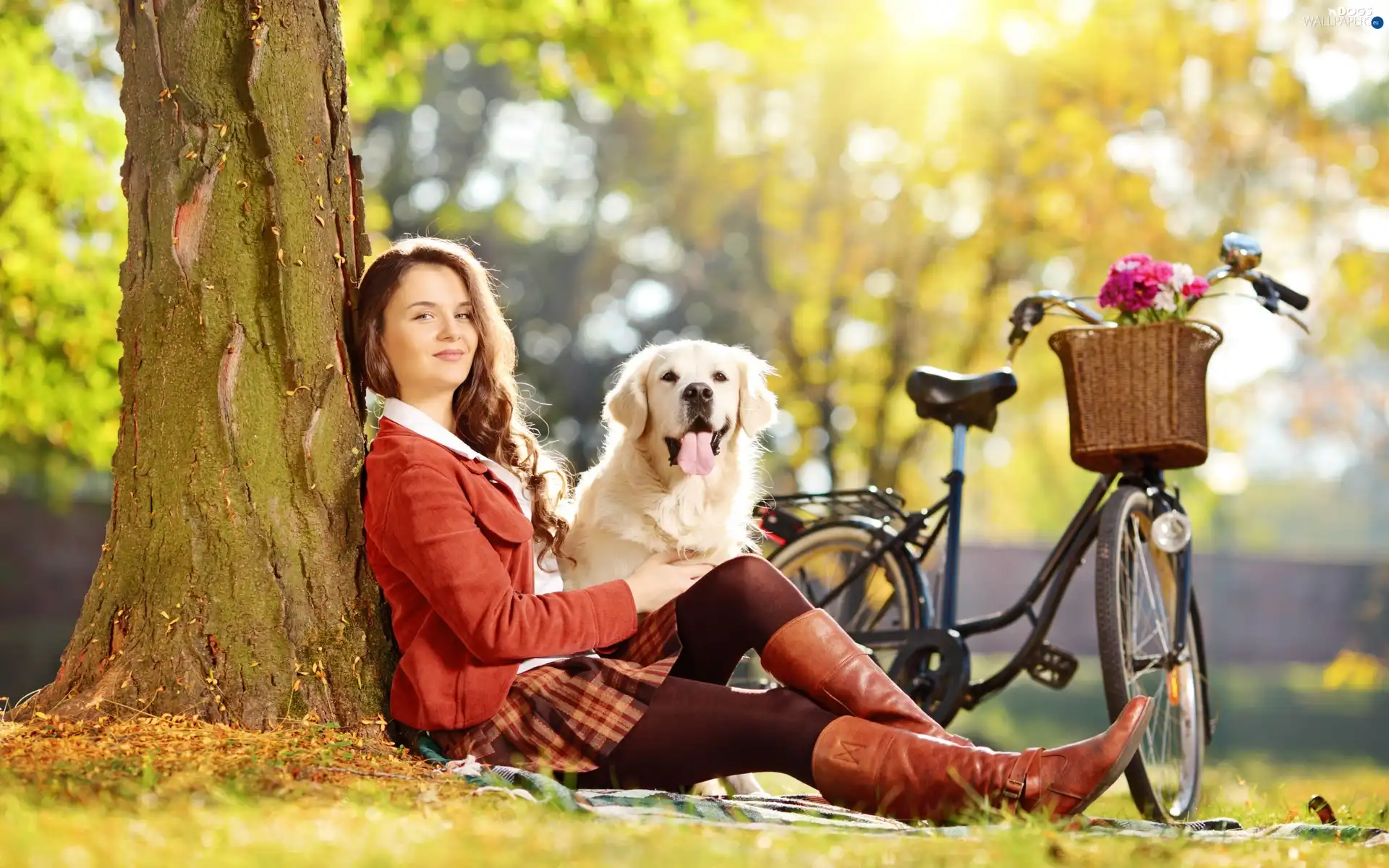 Retriever, golden, Women, dog