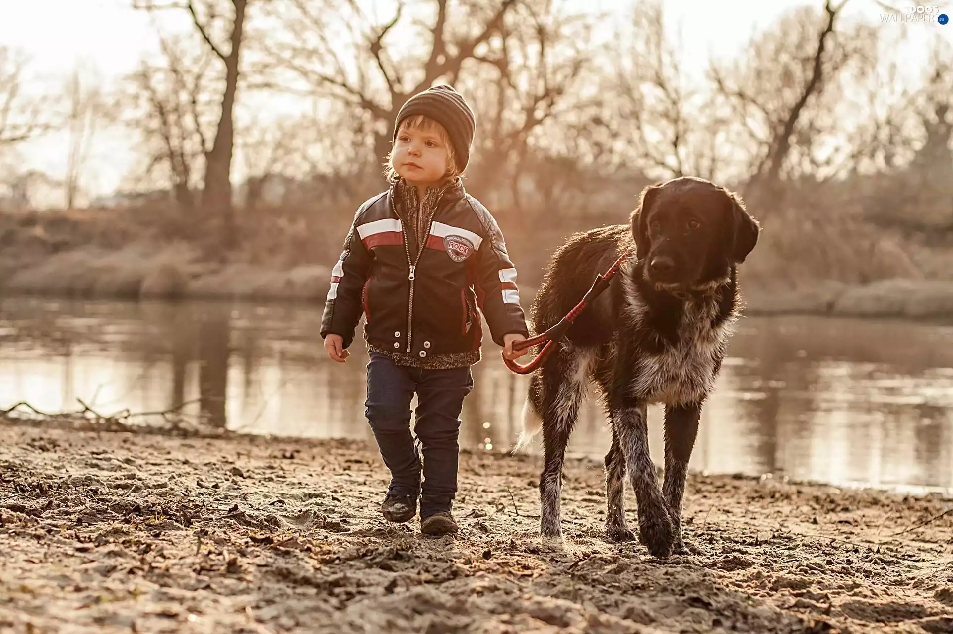 River, boy, dog